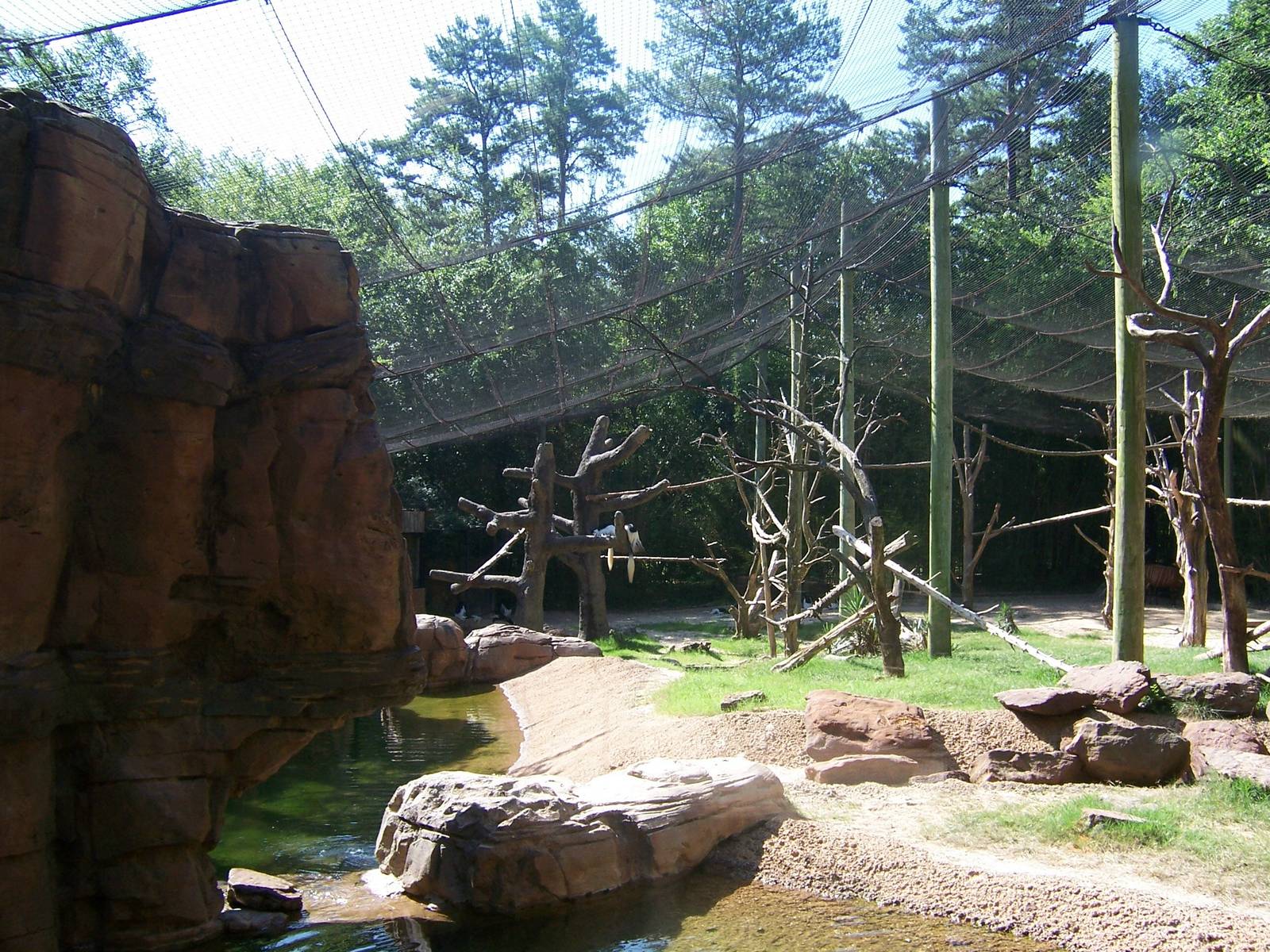 Bongo/Colobus/Duiker Exhibit