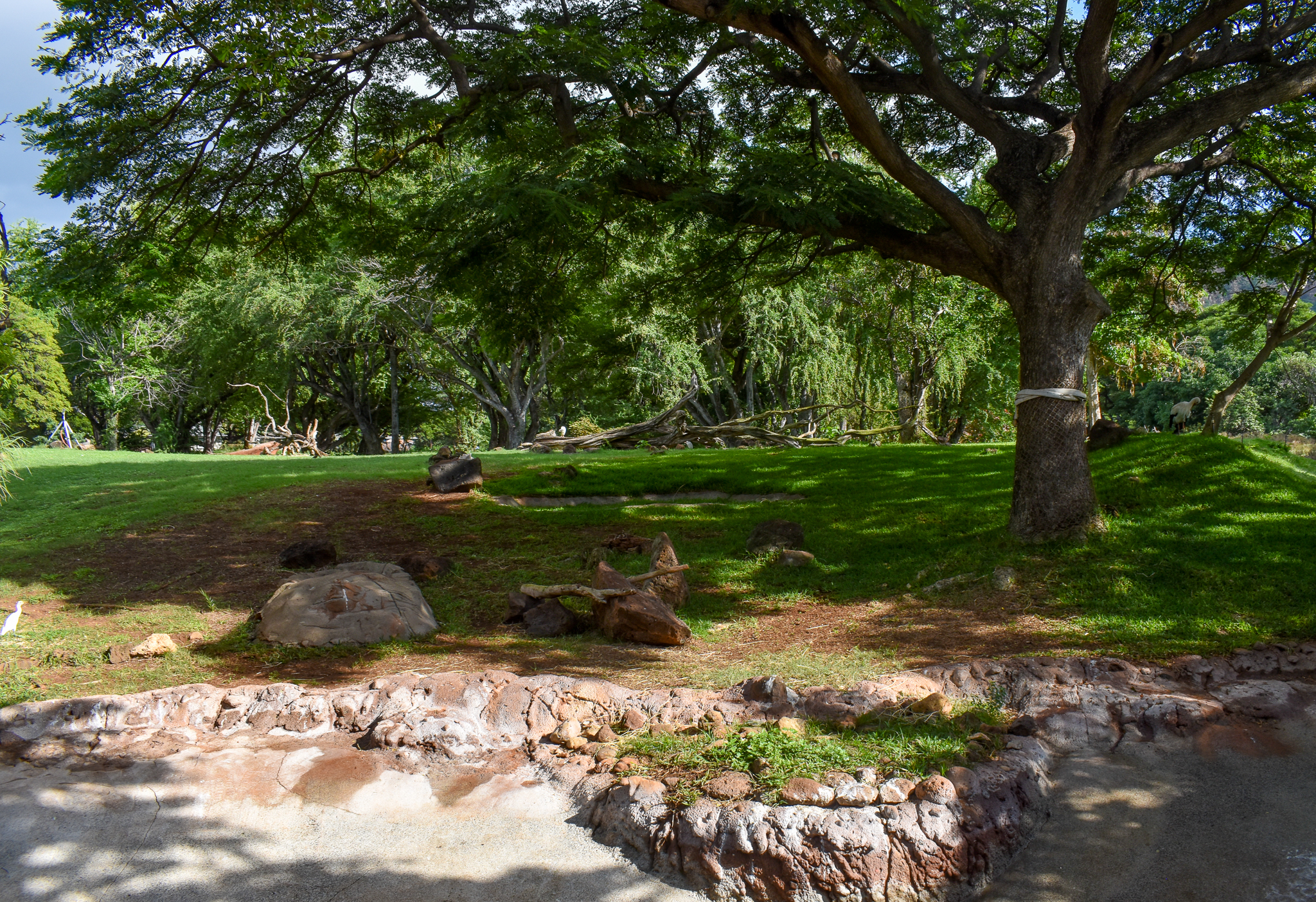 Bongo/crane/stork enclosure