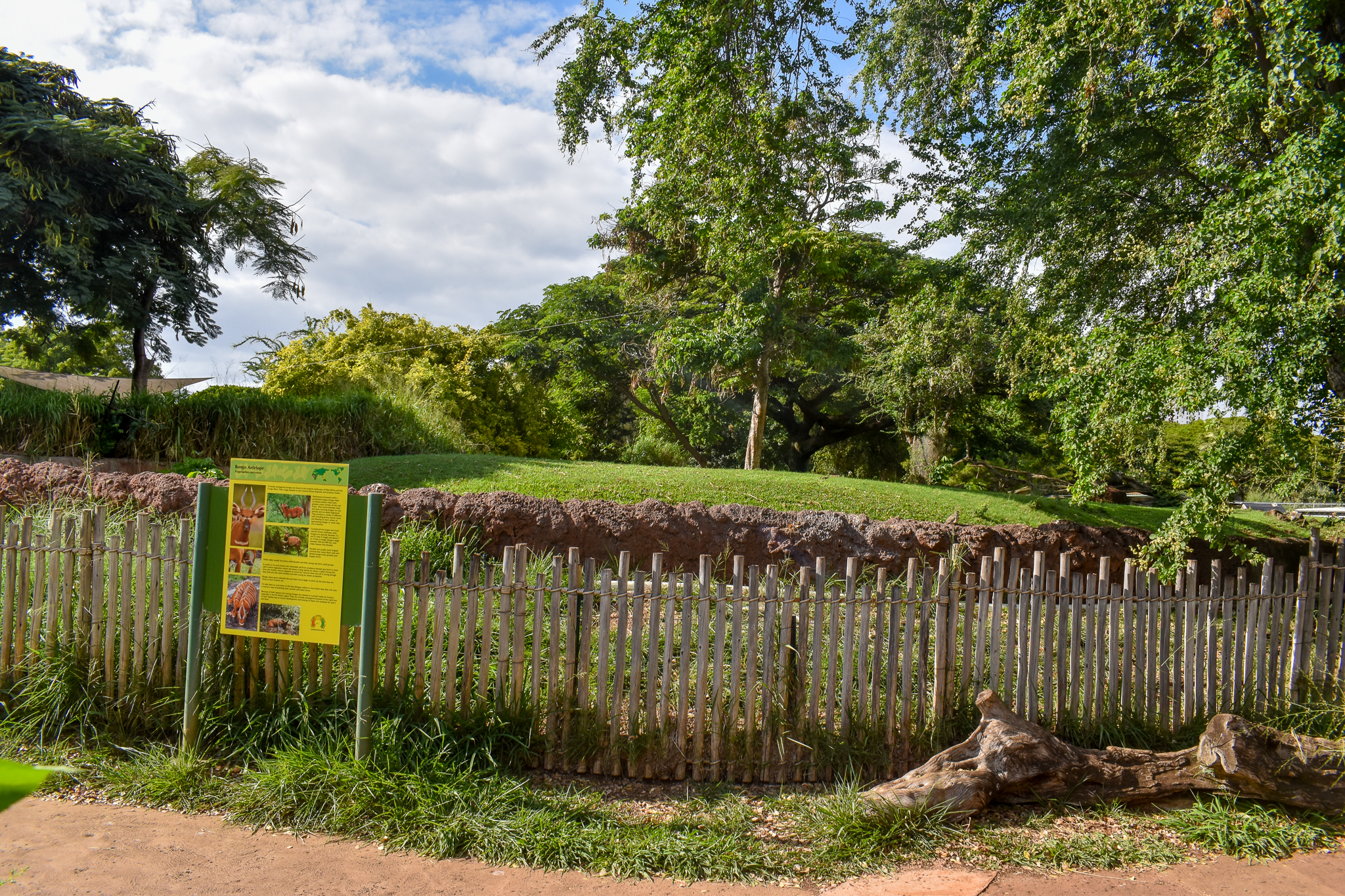 Bongo/crane/stork enclosure