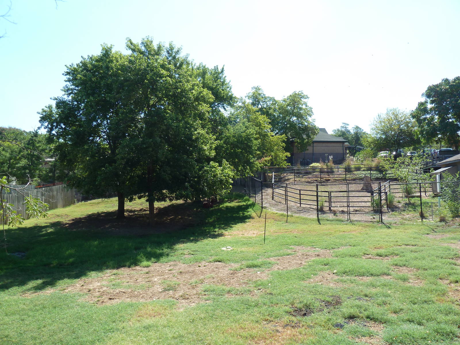 Bongo/Crowned Crane Exhibit