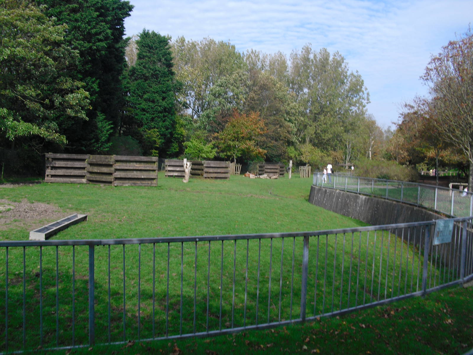 Bongo Enclosure - 01/10/2011