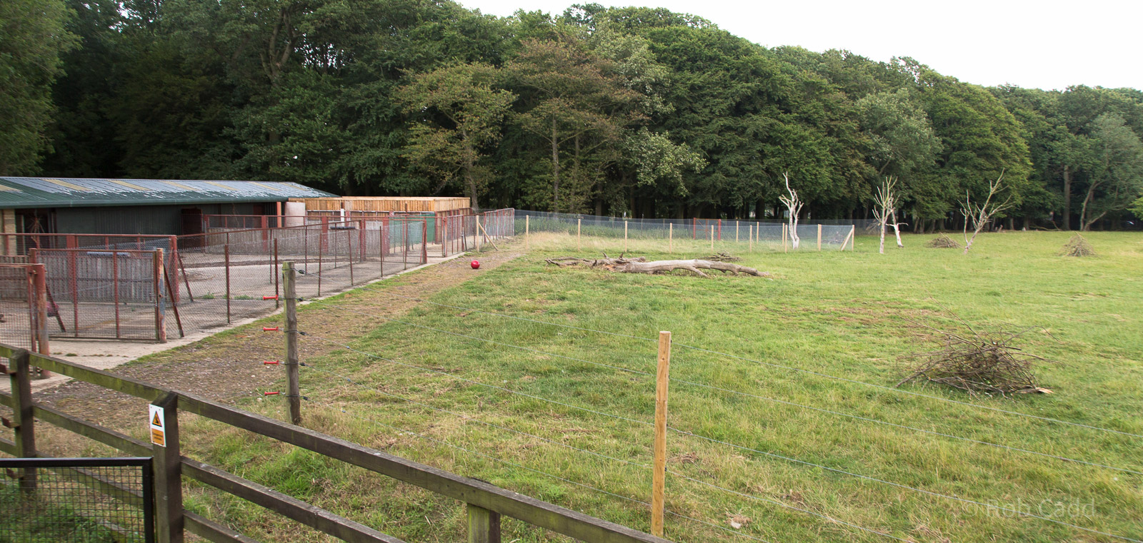 Bongo enclosure : Whipsnade : 01 Aug 2014