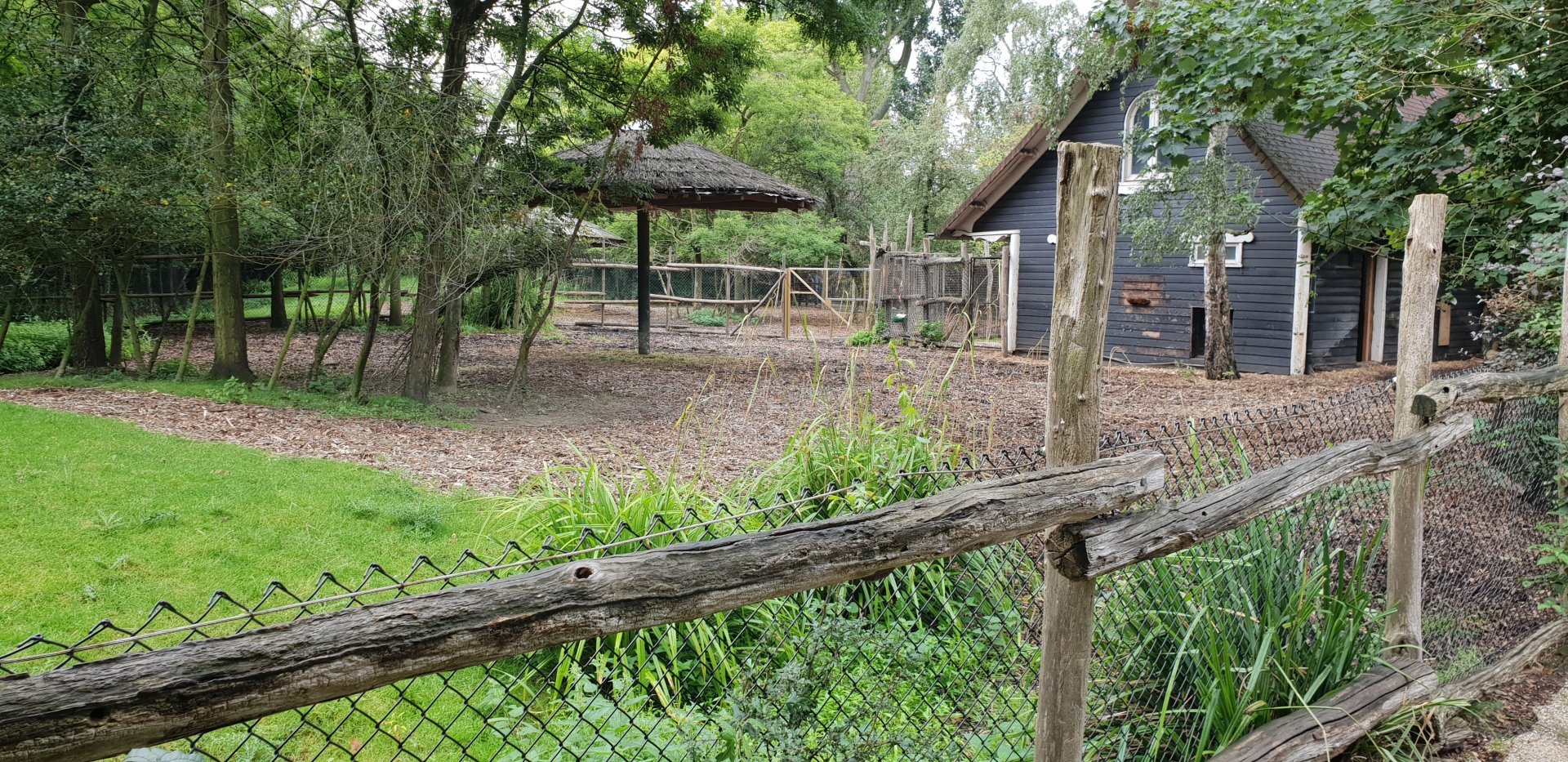 Bongo enclosure