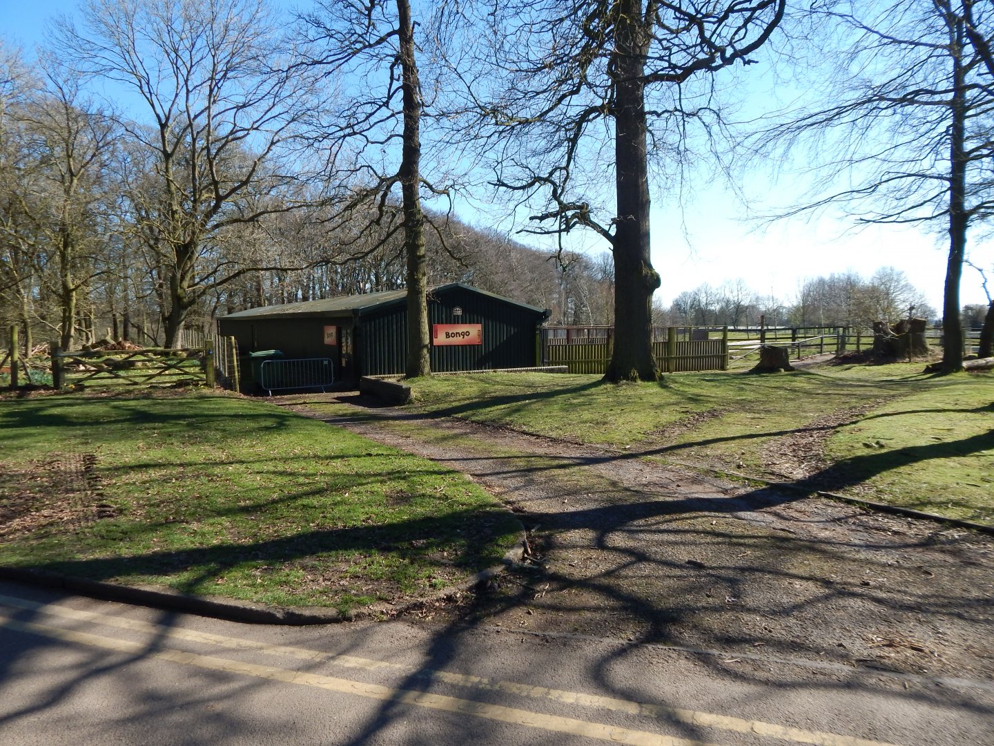 Bongo exhibit 190322