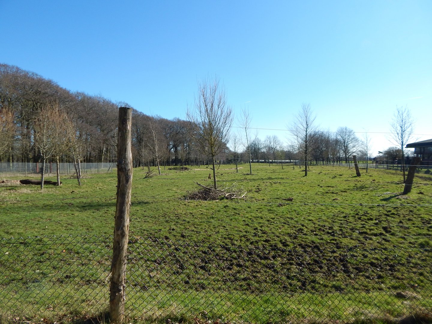 Bongo exhibit 190322
