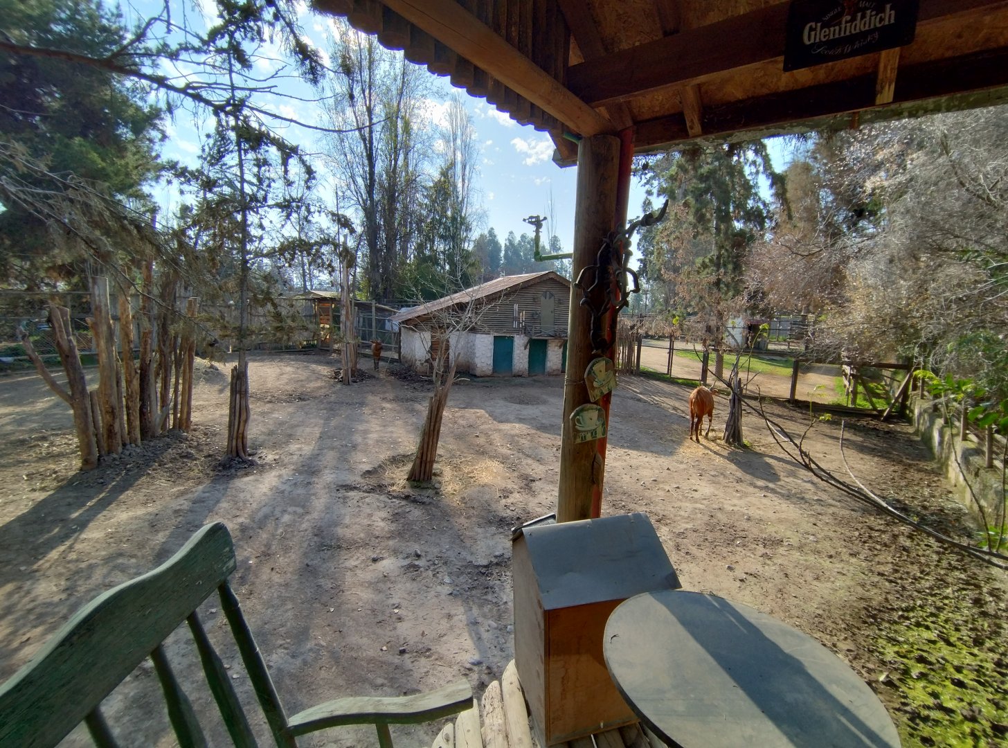 Bongo exhibit - Buin zoo