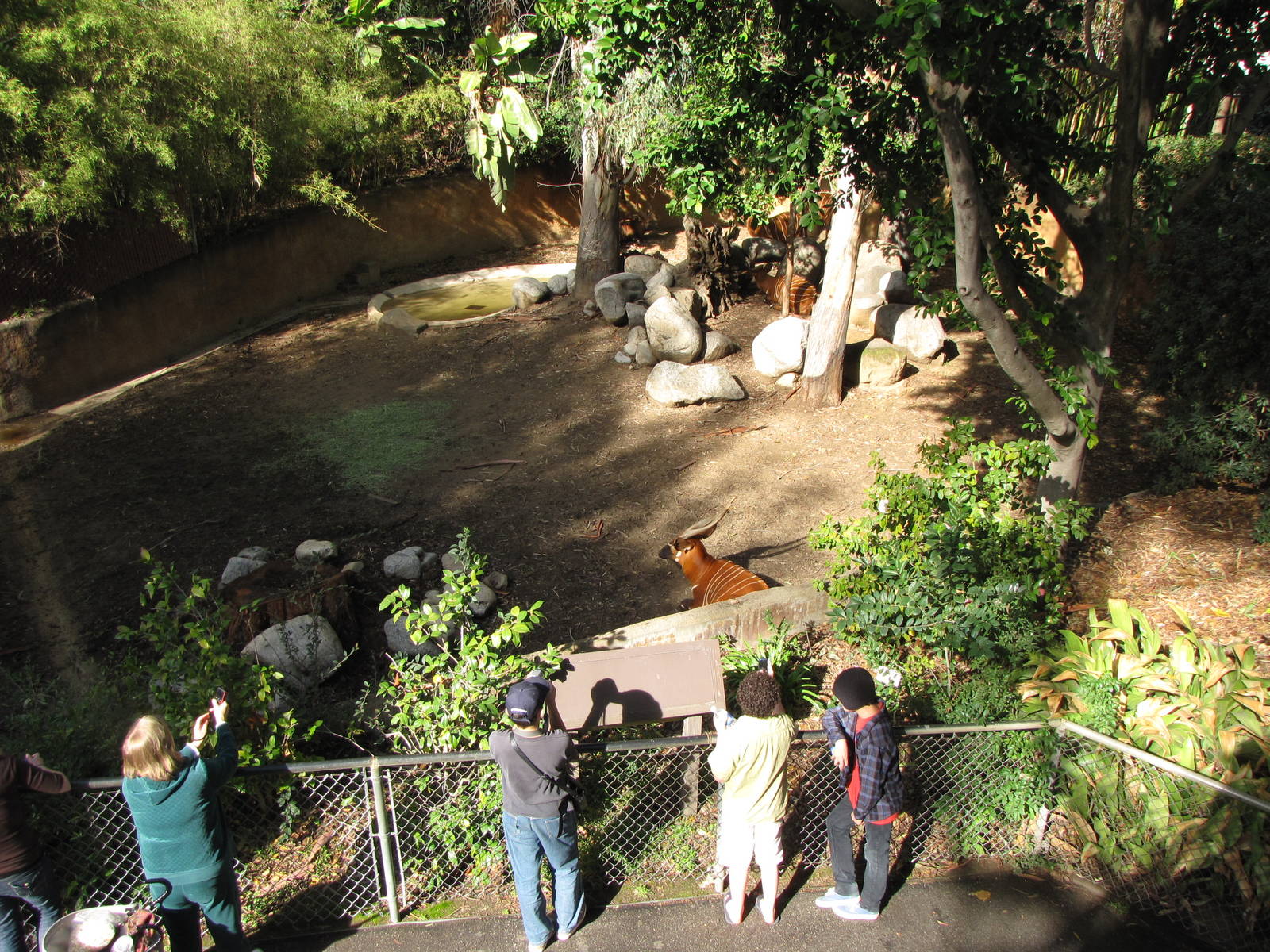 Bongo Exhibit View From Bridge