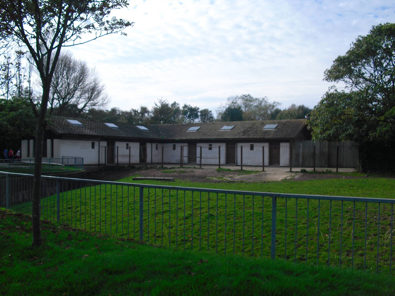 Bongo House - 01/10/2011