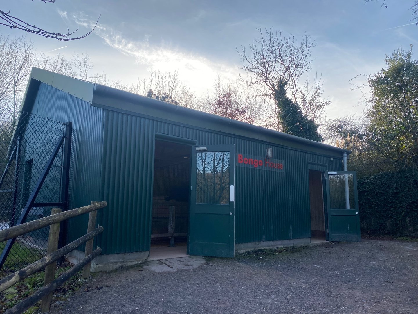 Bongo House 161222