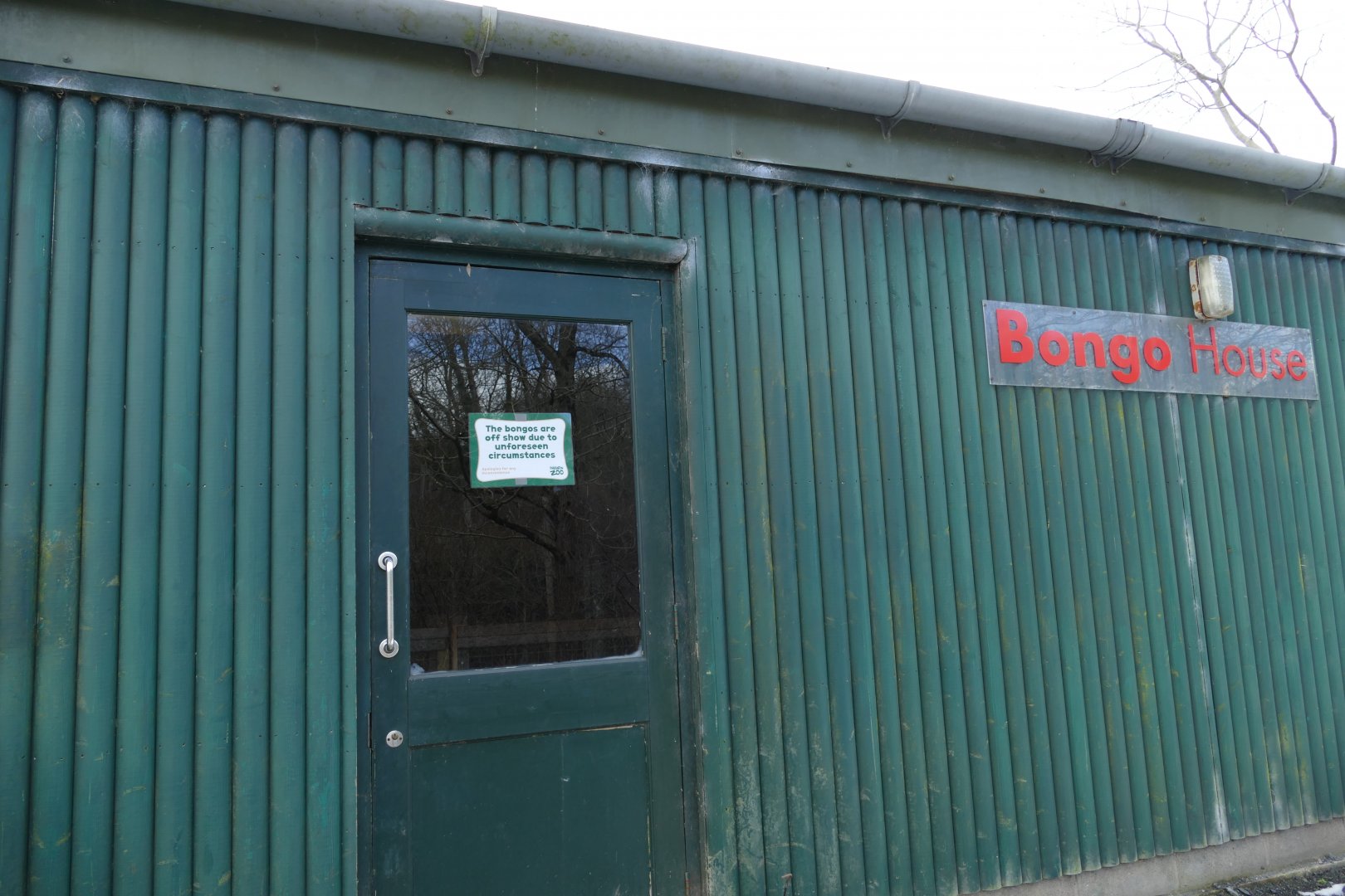 Bongo house, March 2018