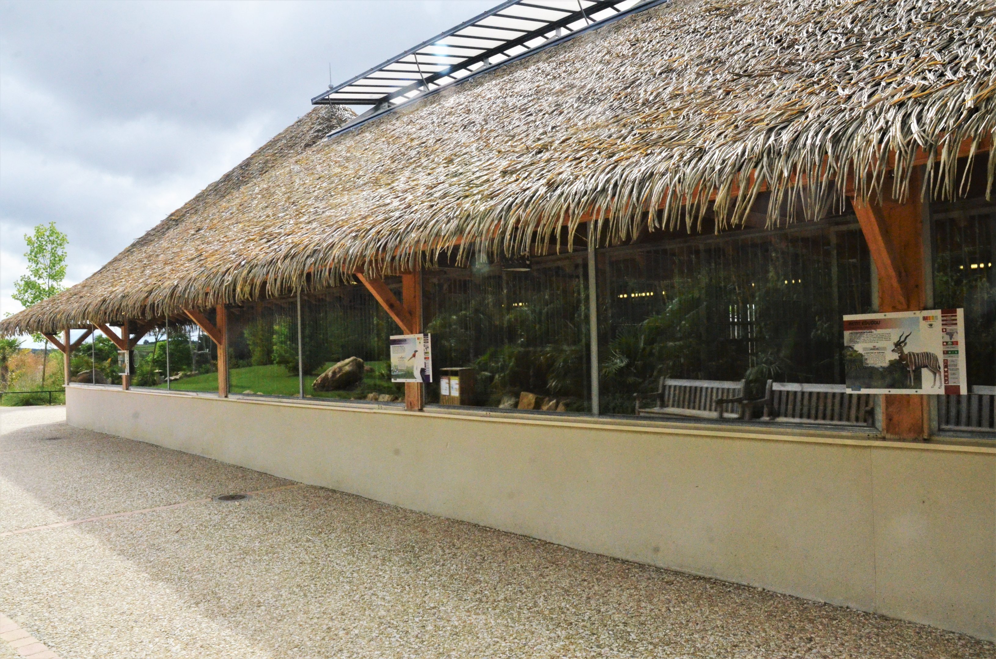 Bongo, Lesser Kudu and Wattled Crane Housing at Beauval, 12/06/18