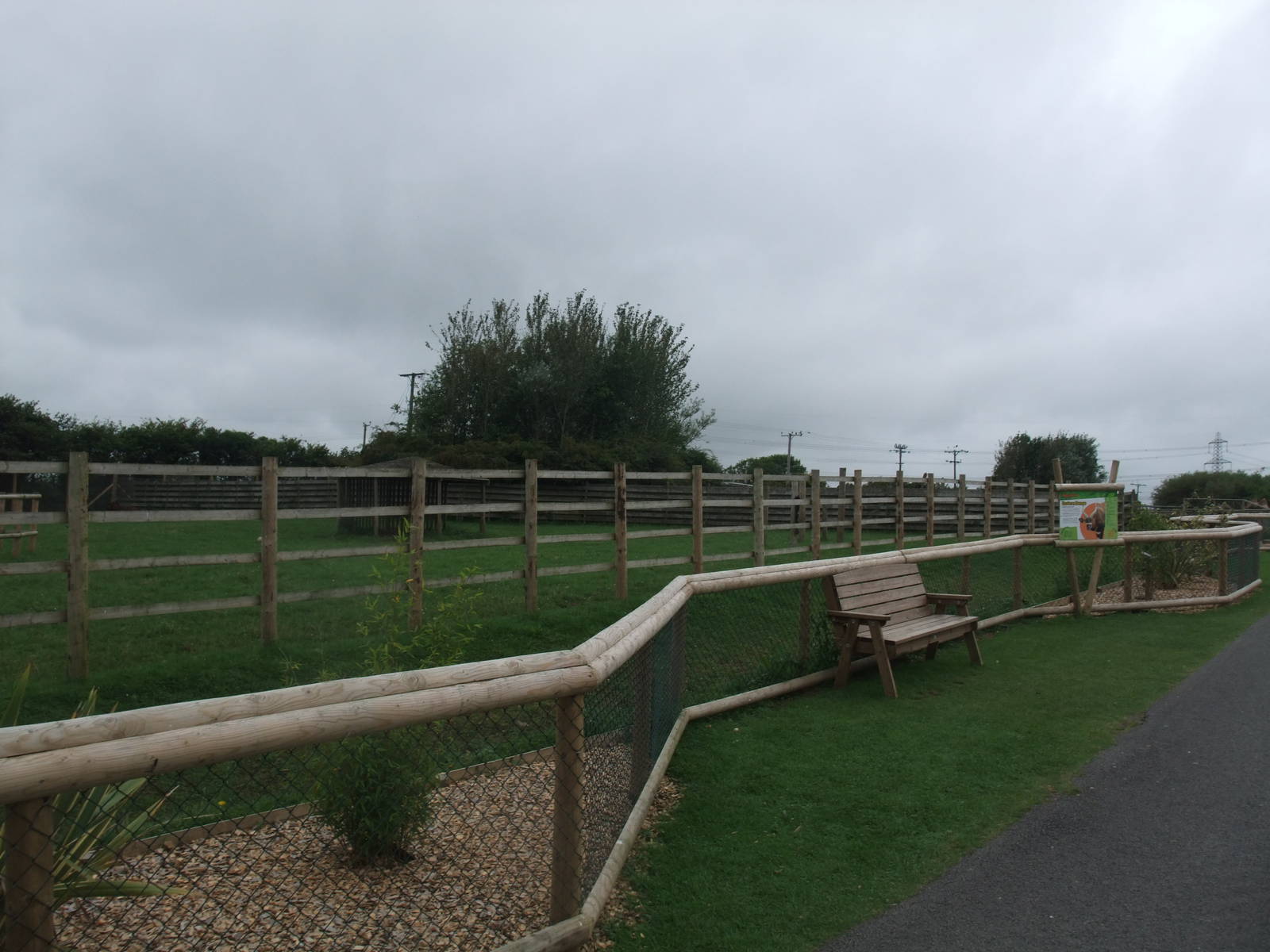 Bongo Paddock at Folly Farm, 01/08/11