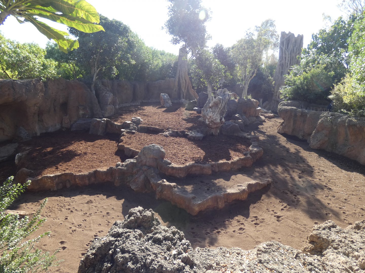 Bongo, Red Duiker and Crowned Crane exhibit