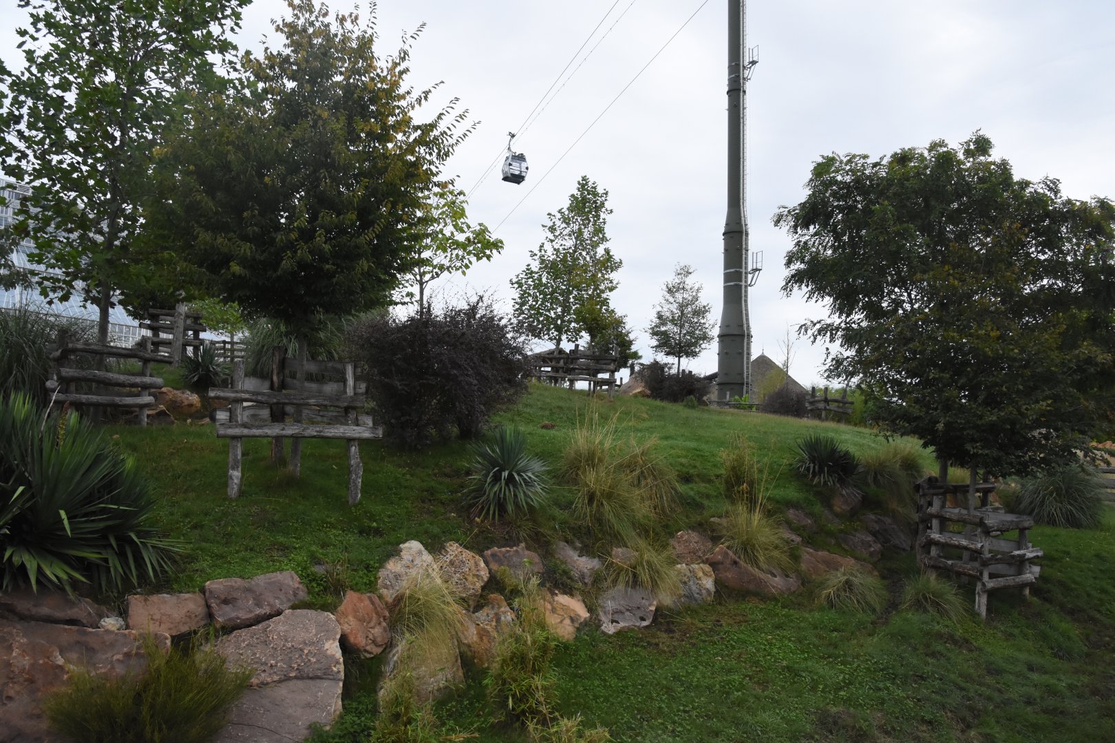 Bongo & Wattled Crane enclosure