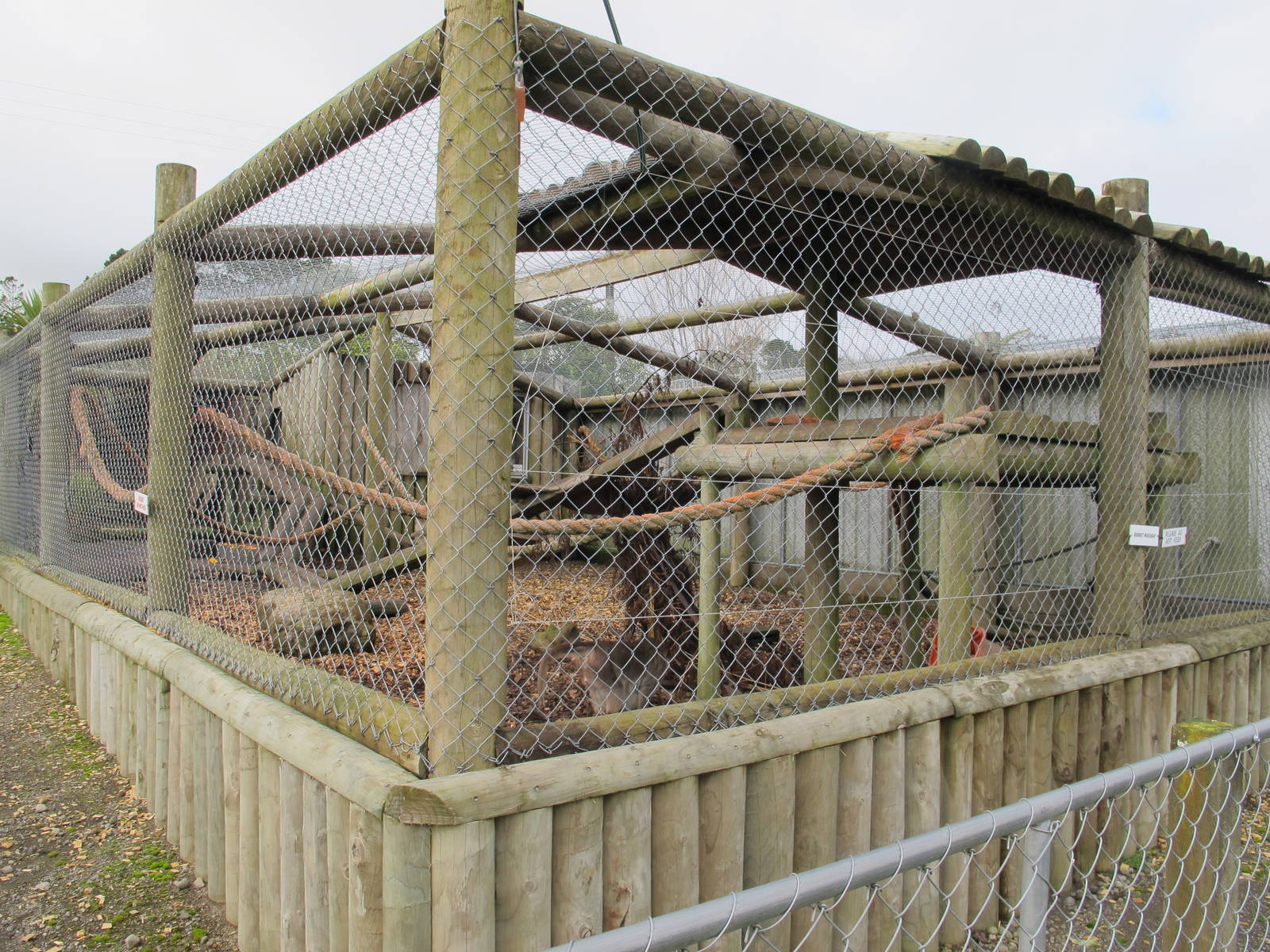 Bonnet Macaque Enclosure - Pouakai Zoo