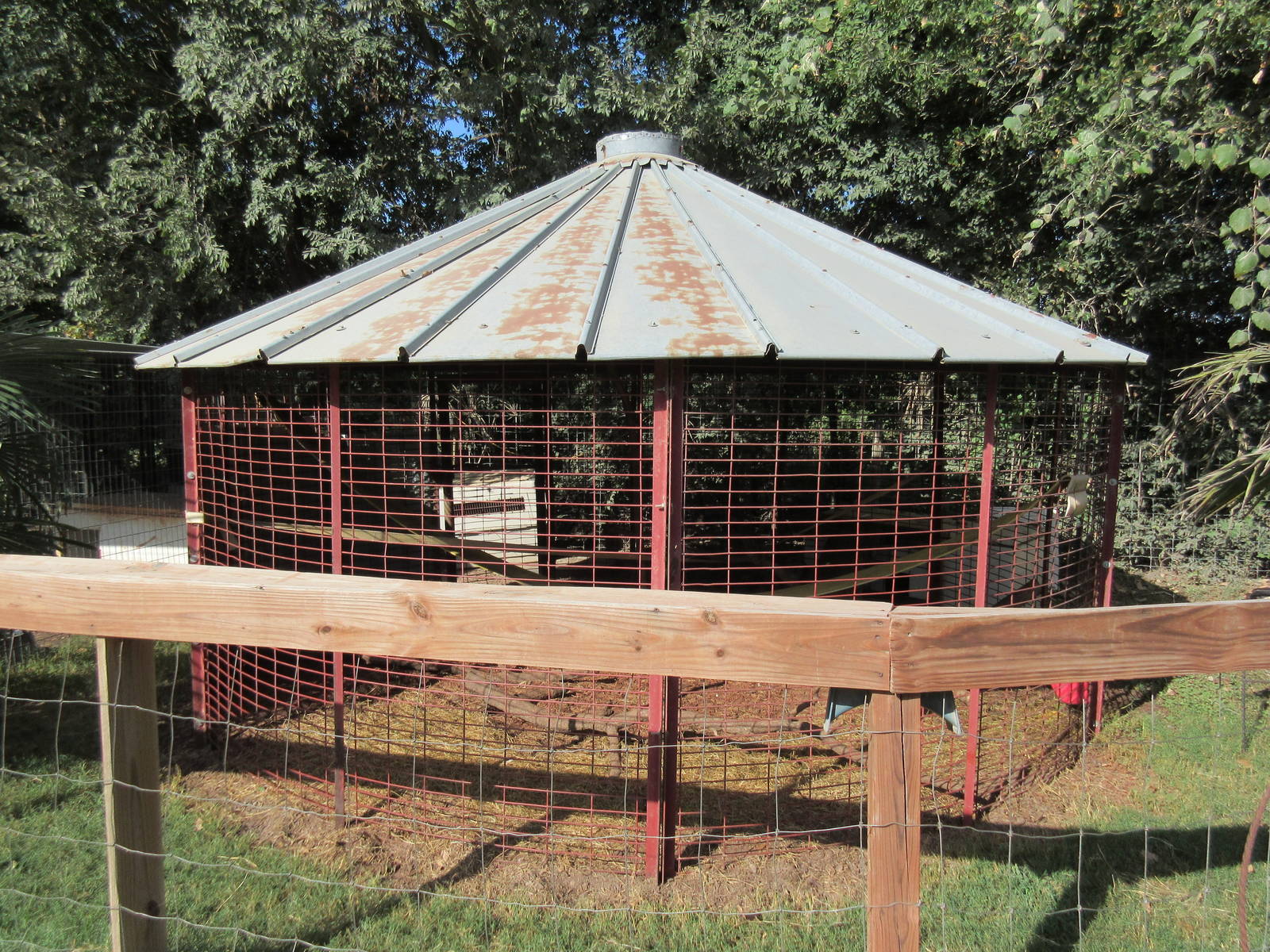 Bonnet Macaque Exhibit