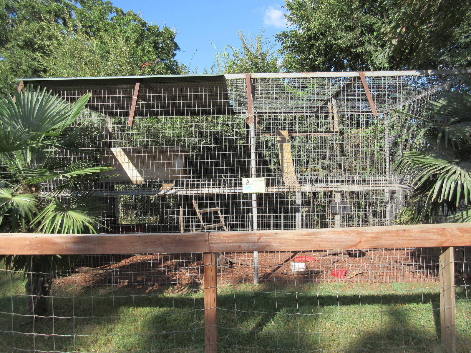 Bonnet Macaque Exhibit