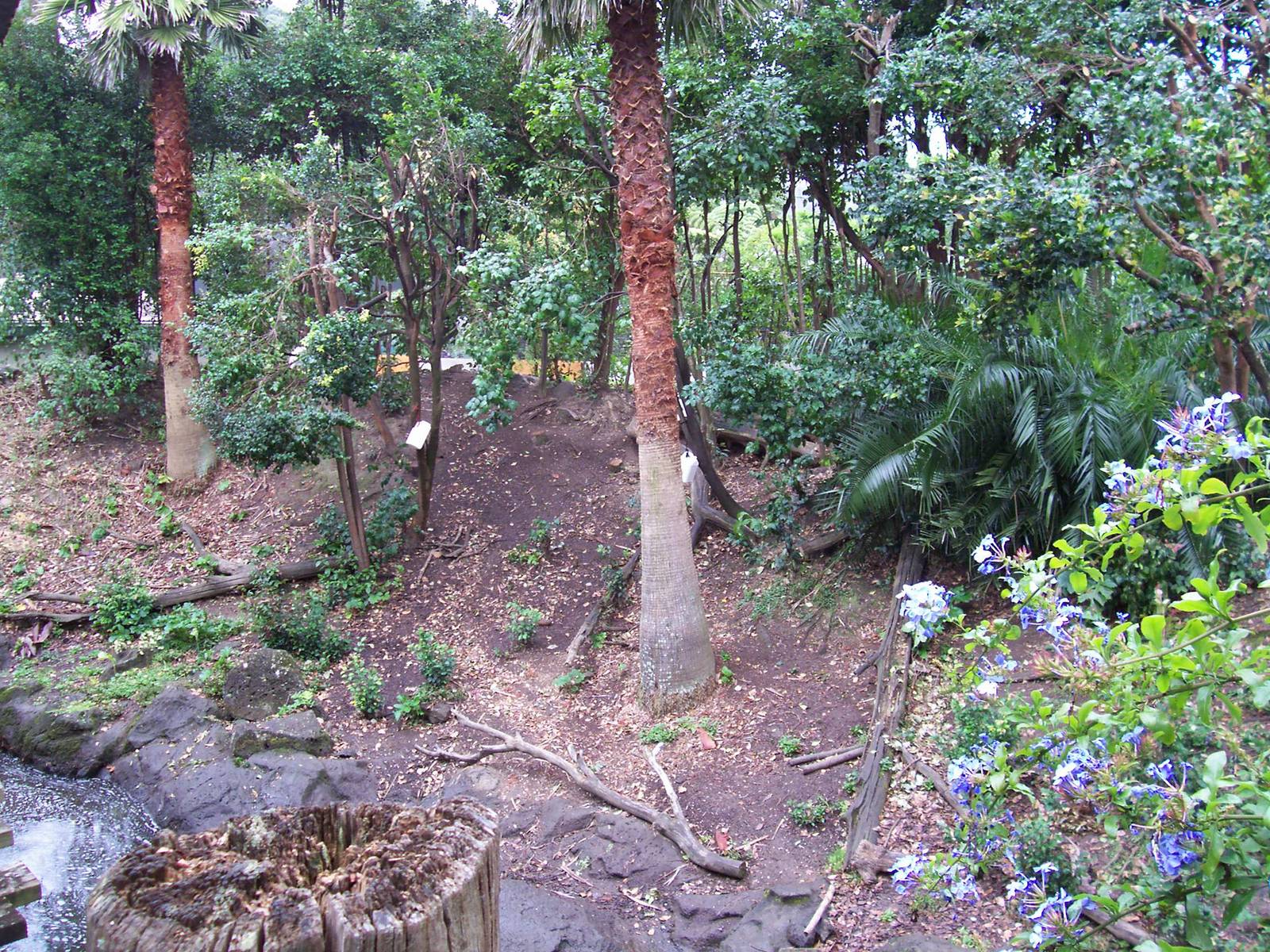 Bonnet Macaque/Otter Enclosure