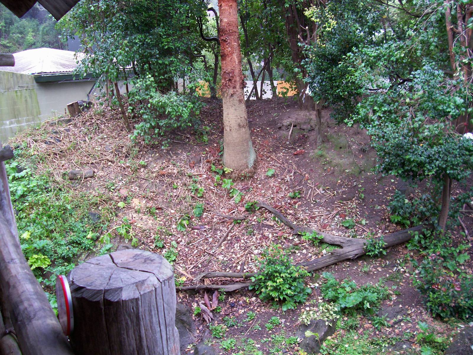 Bonnet Macaque/Otter Enclosure