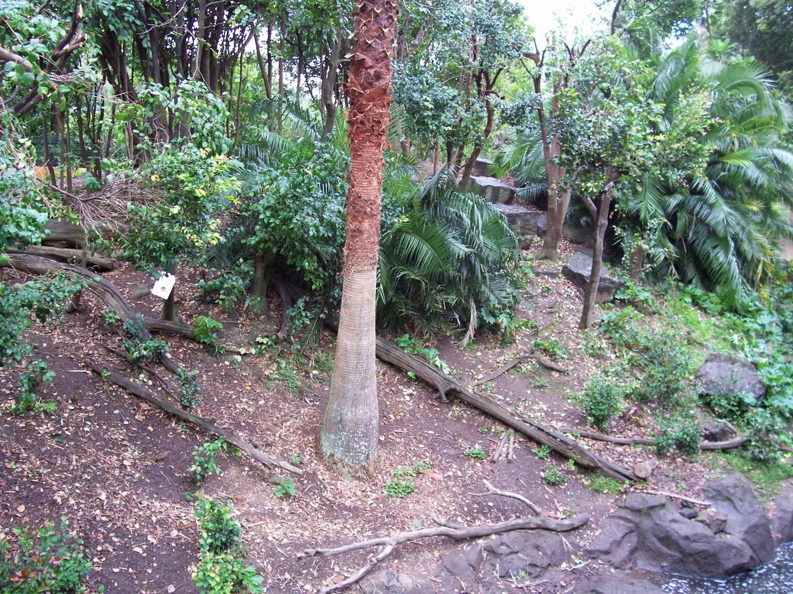 Bonnet Macaque/Otter Enclosure