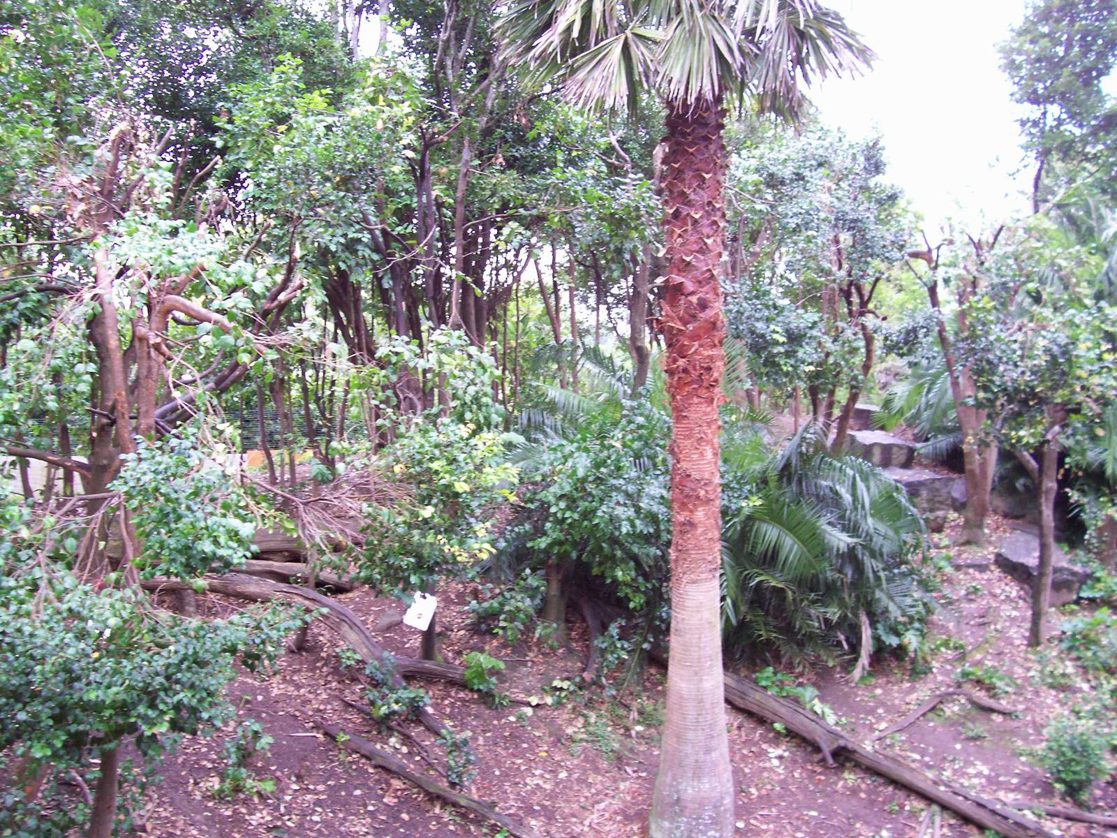 Bonnet Macaque/Otter Enclosure