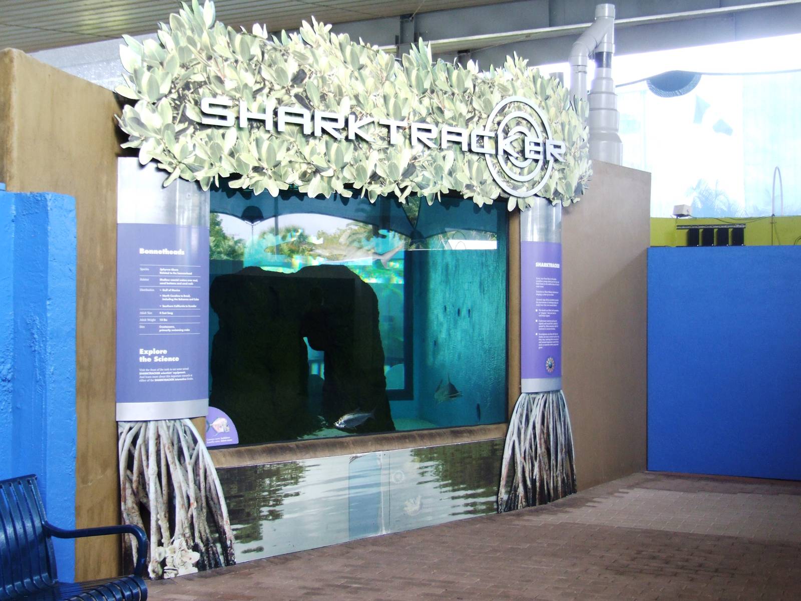 Bonnethead Tank at Mote, 07/10/13