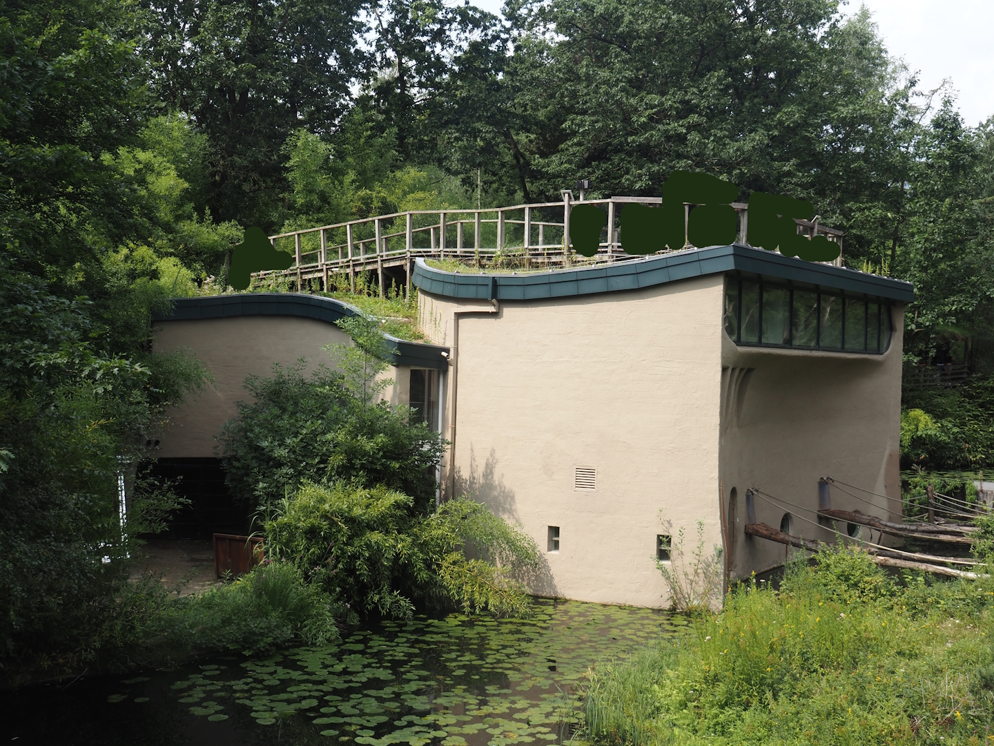 Bonobo building, 2024-08-18