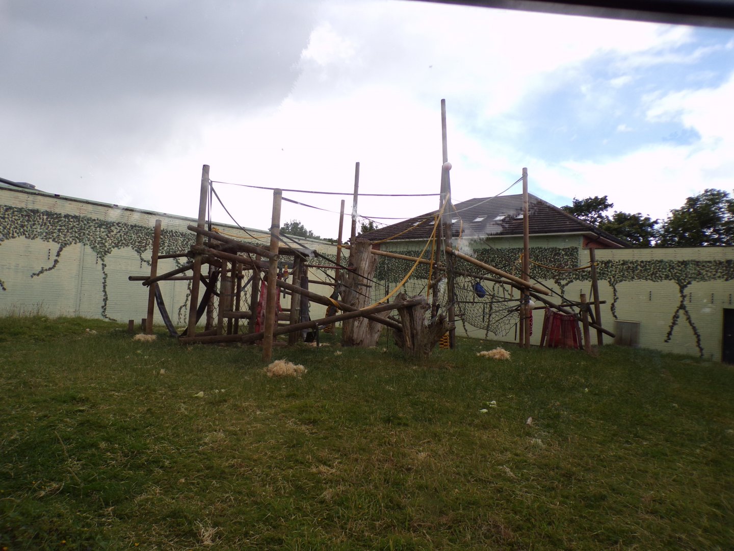 Bonobo enclosure 7.7.24