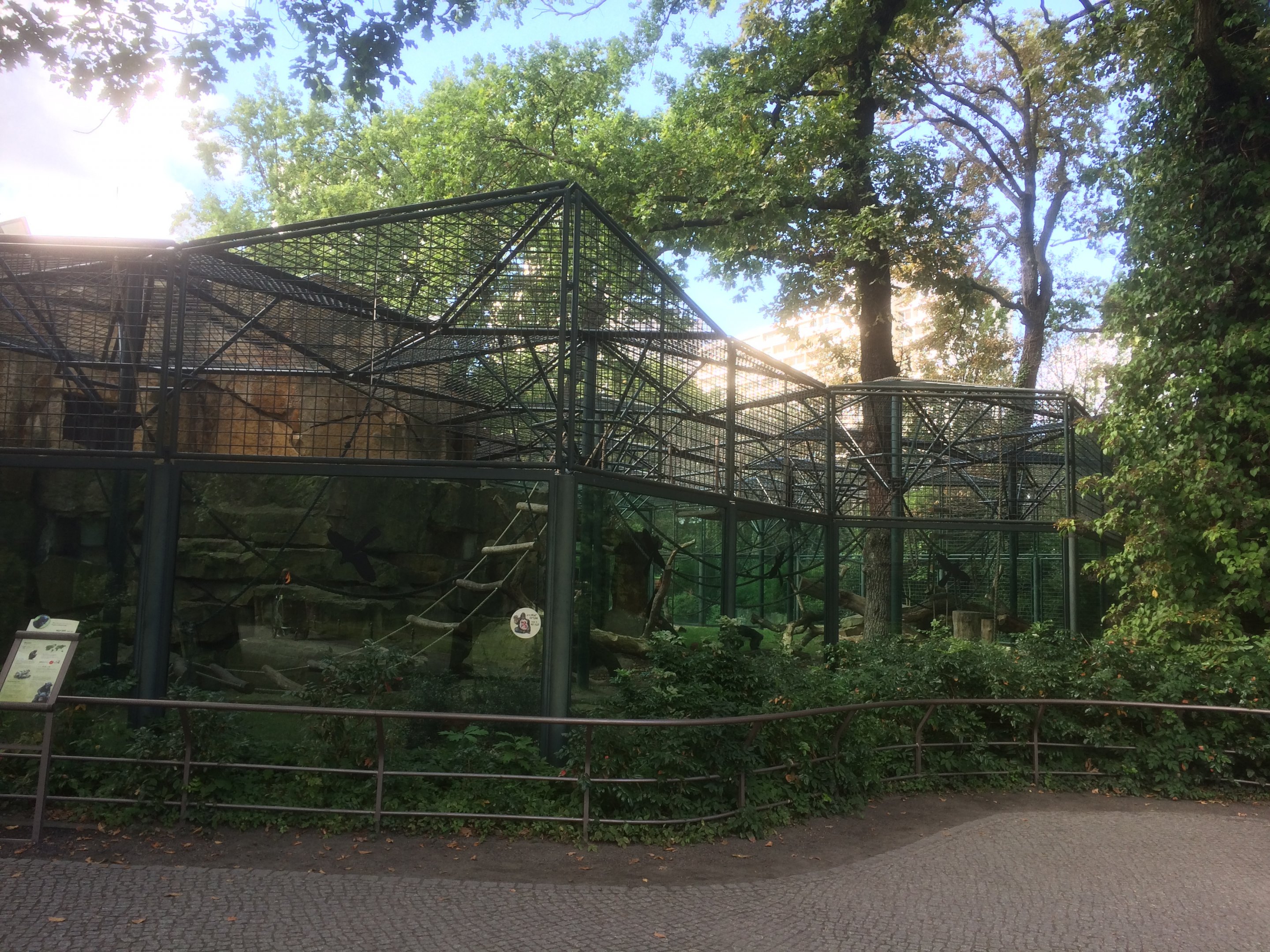 Bonobo enclosure