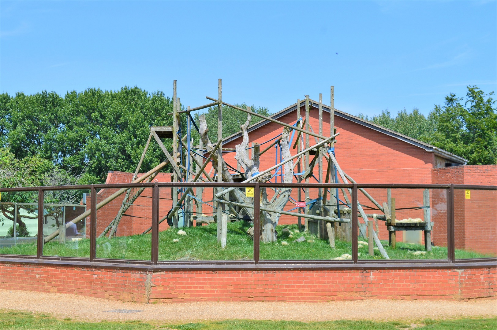 Bonobo enclosure