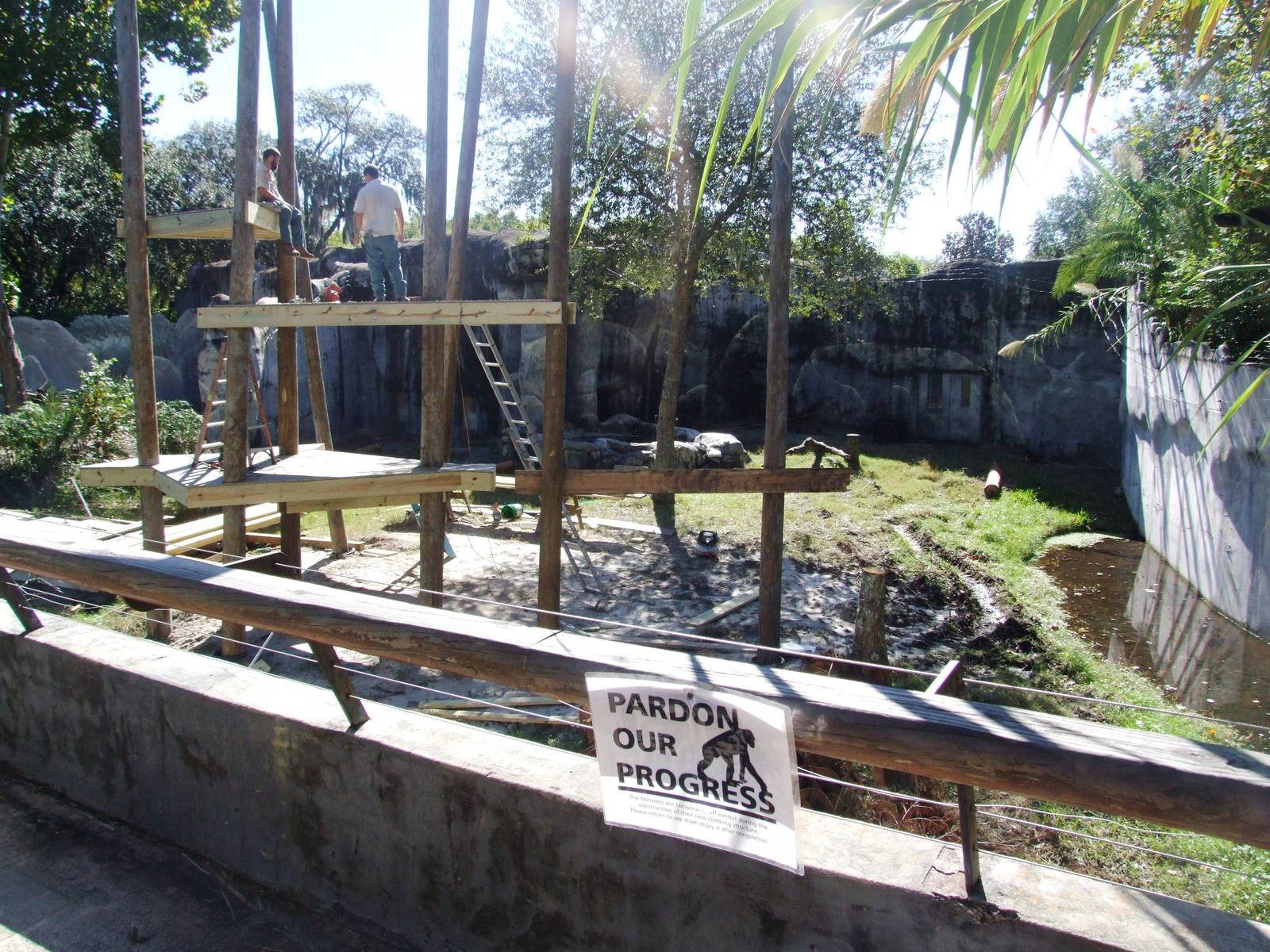 Bonobo Exhibit at Jacksonville, 10/10/13