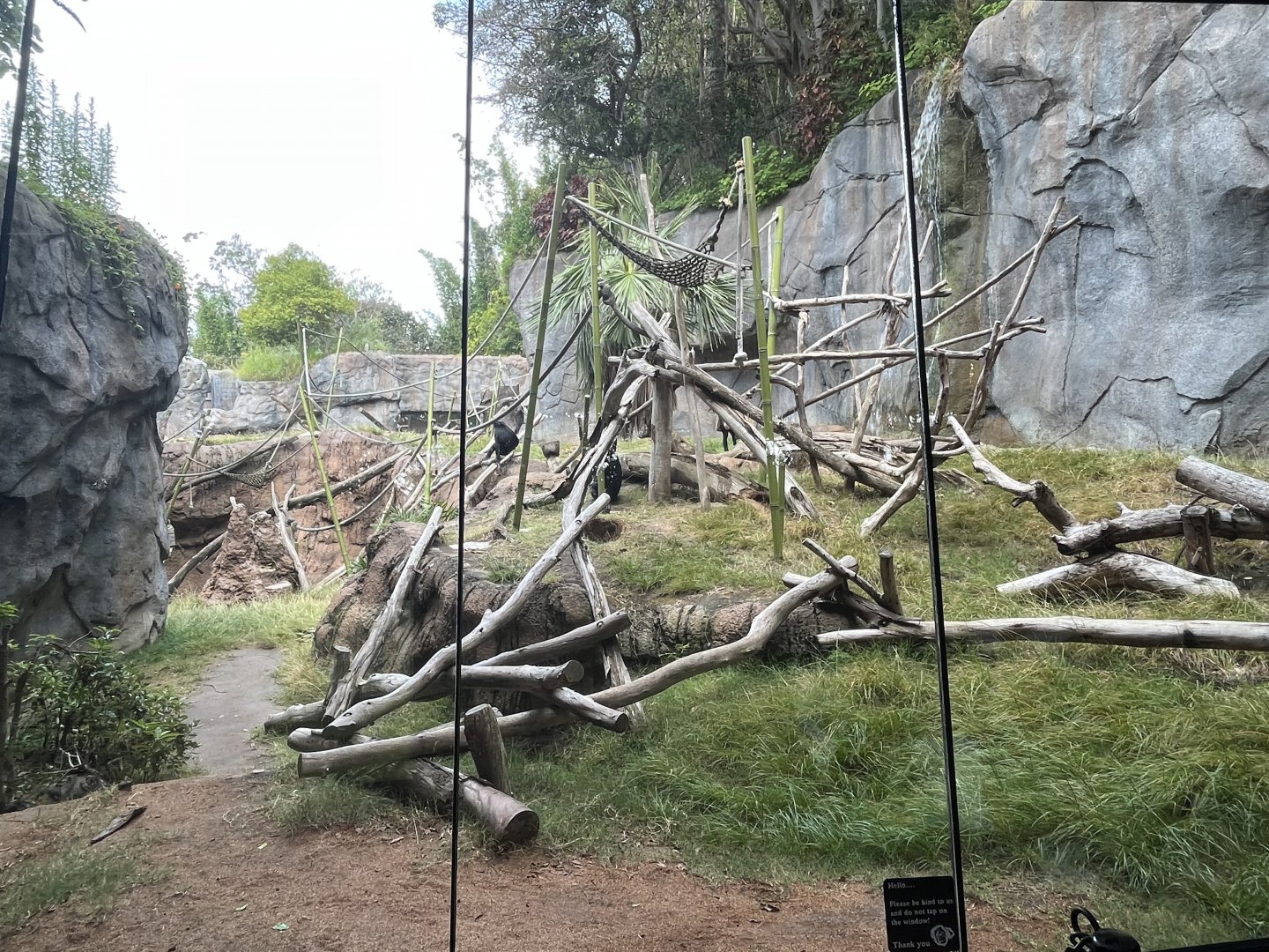 Bonobo Exhibit
