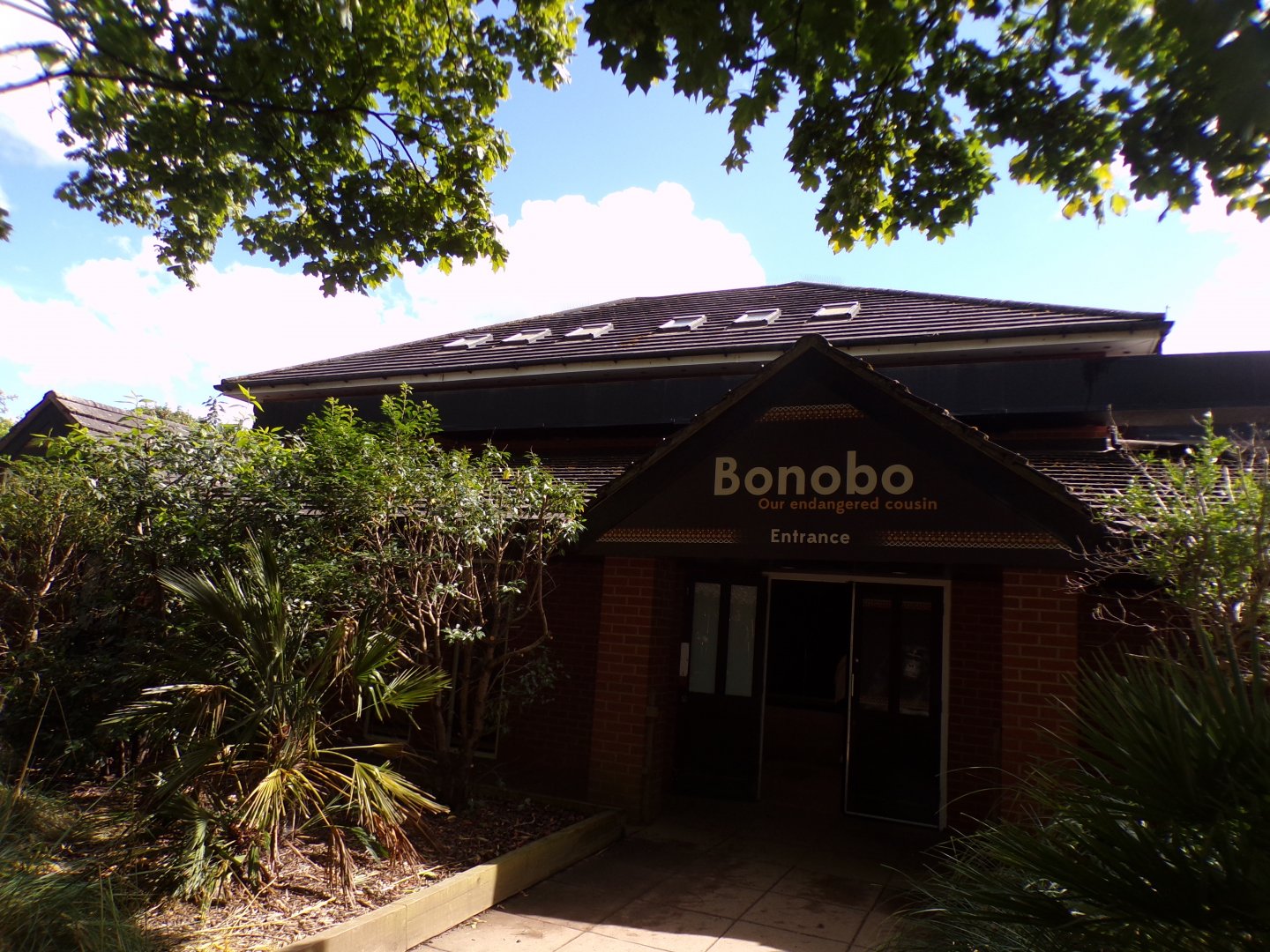 Bonobo house entrance 7.7.24