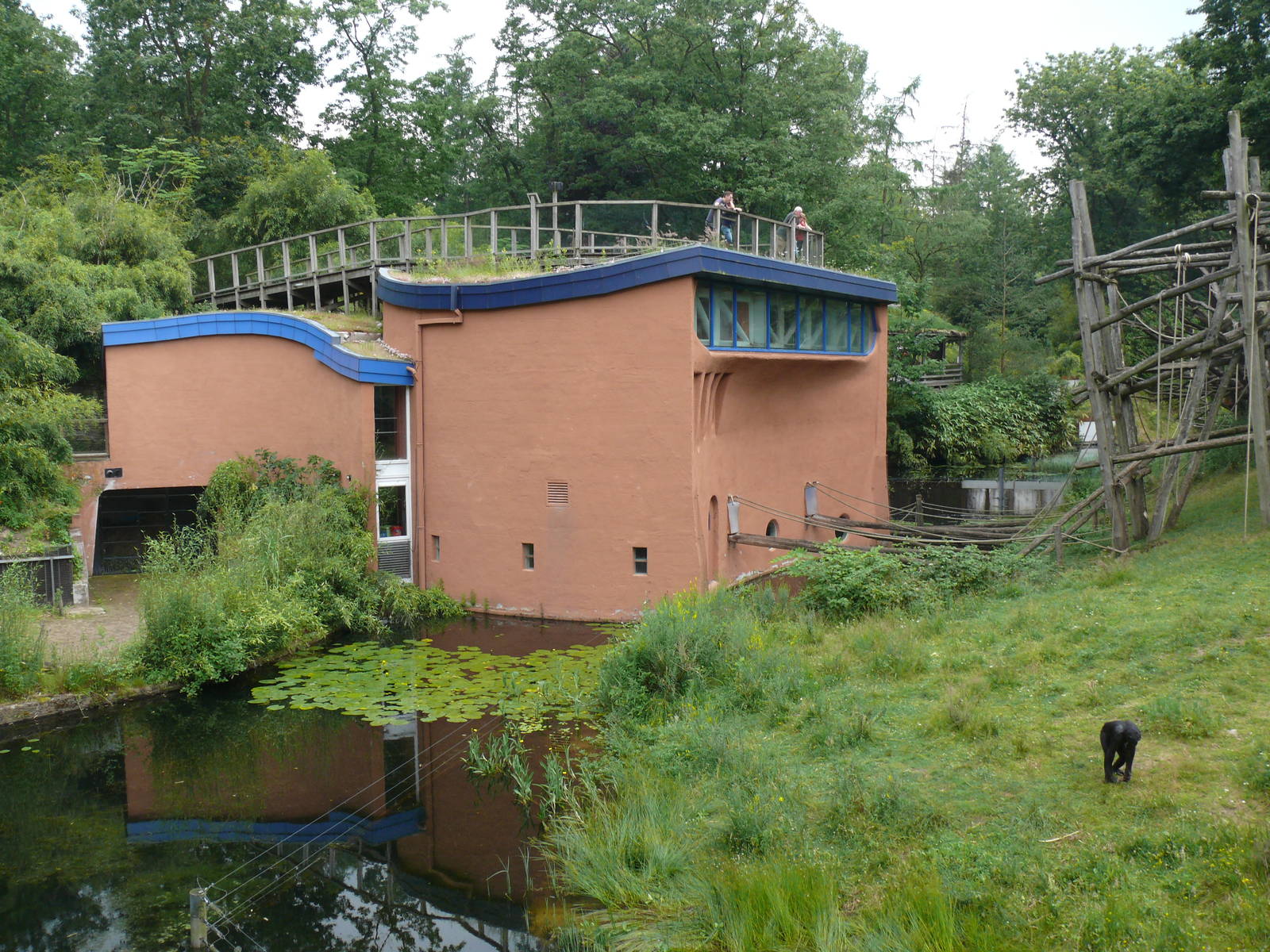 Bonobo House, July 2012