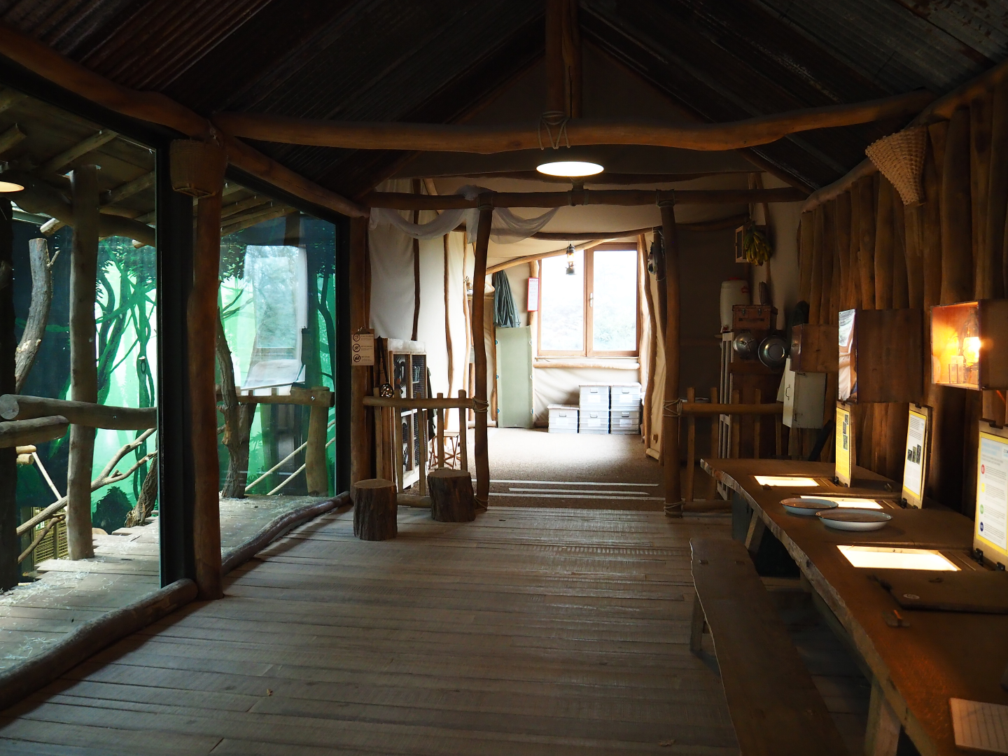 Bonobo house viewing area, 2020-01-11