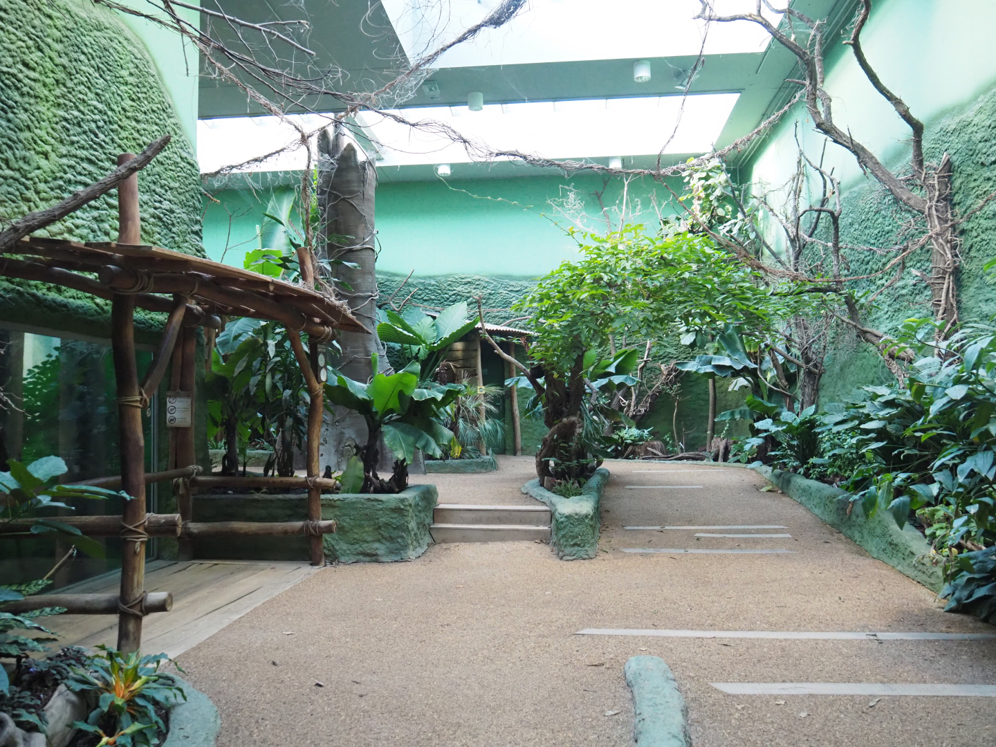 Bonobo house visitor area, 2021-11-23