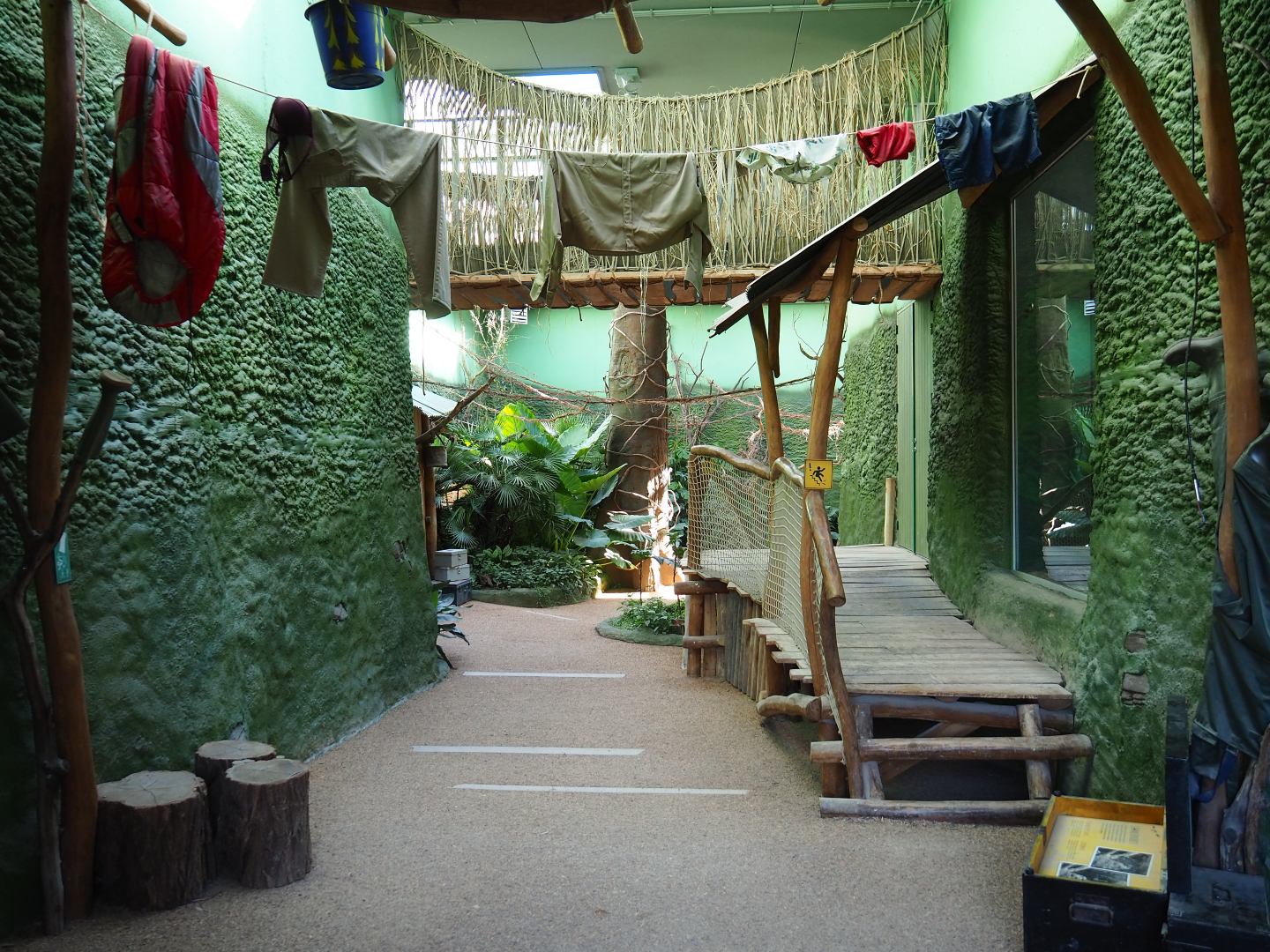 Bonobo house visitor area - Second viewing area, 2020-07-21