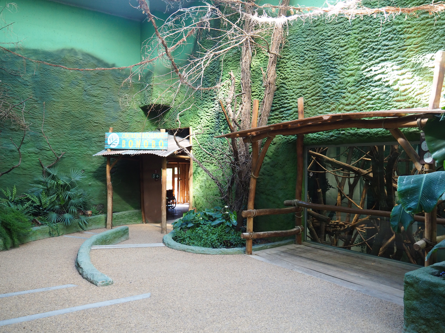 Bonobo house visitor area - Third viewing area, 2020-07-21