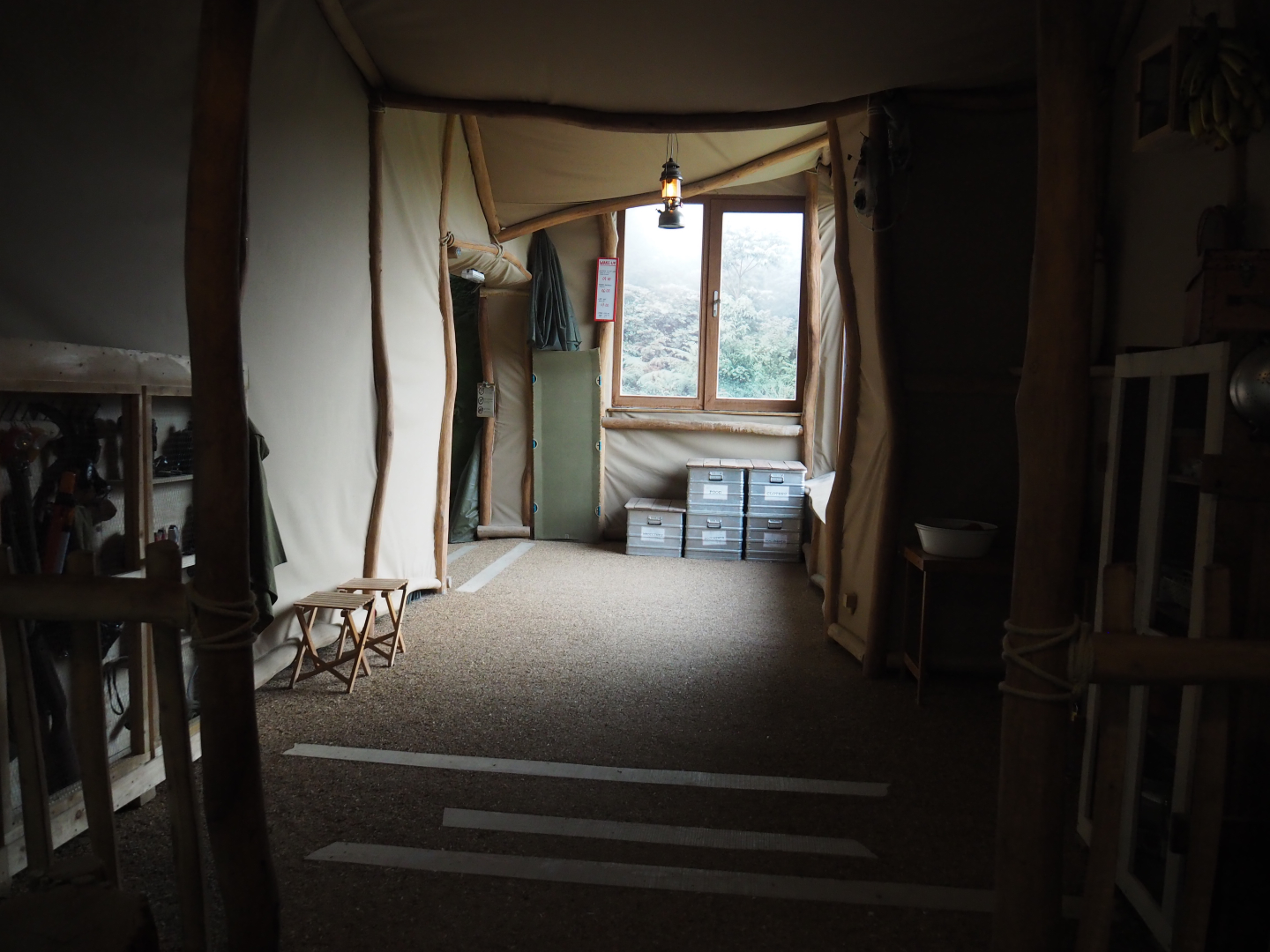 Bonobo house visitor area with viewing windows onto the island, 2020-01-11