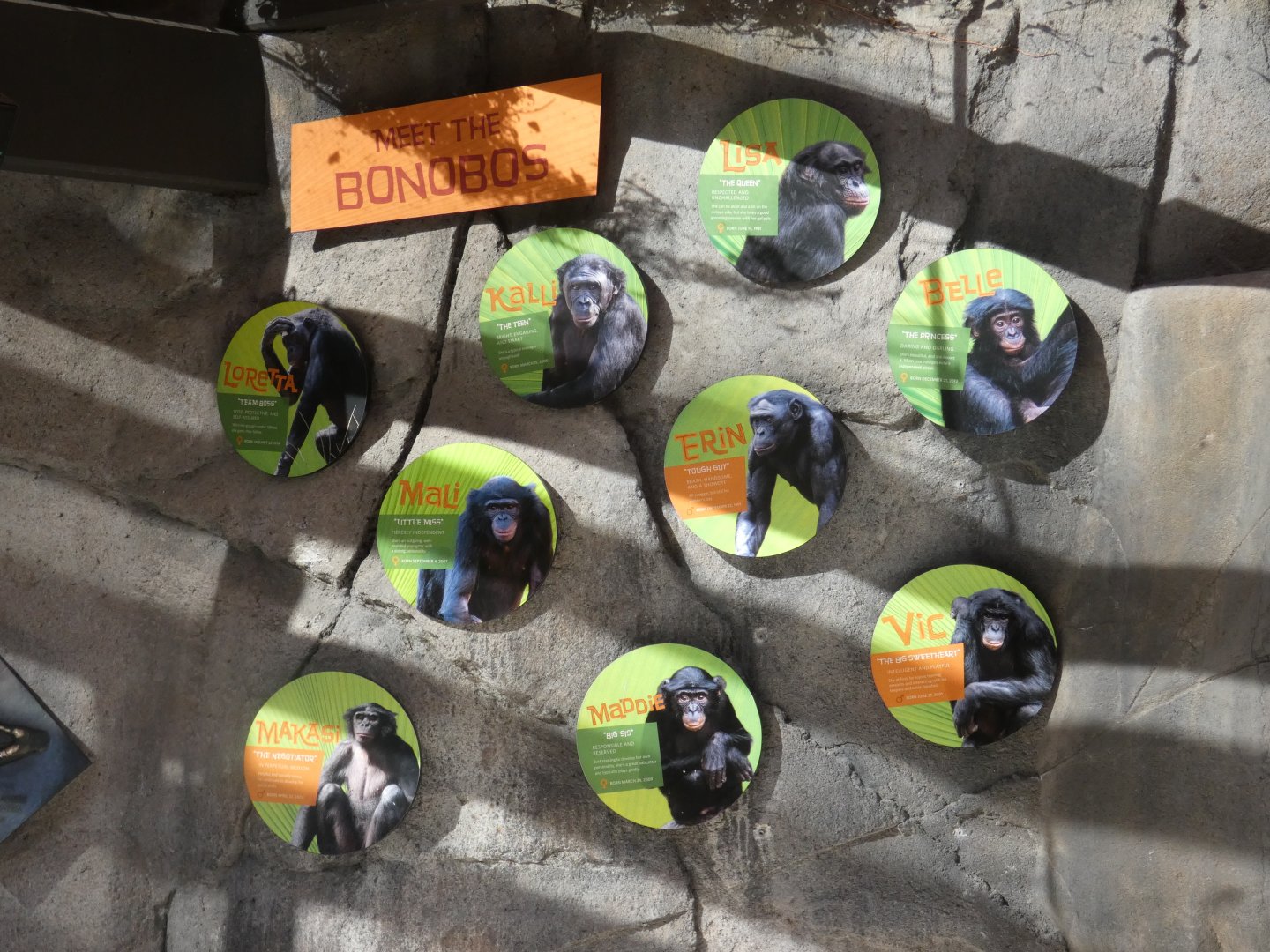 Bonobo ID signage