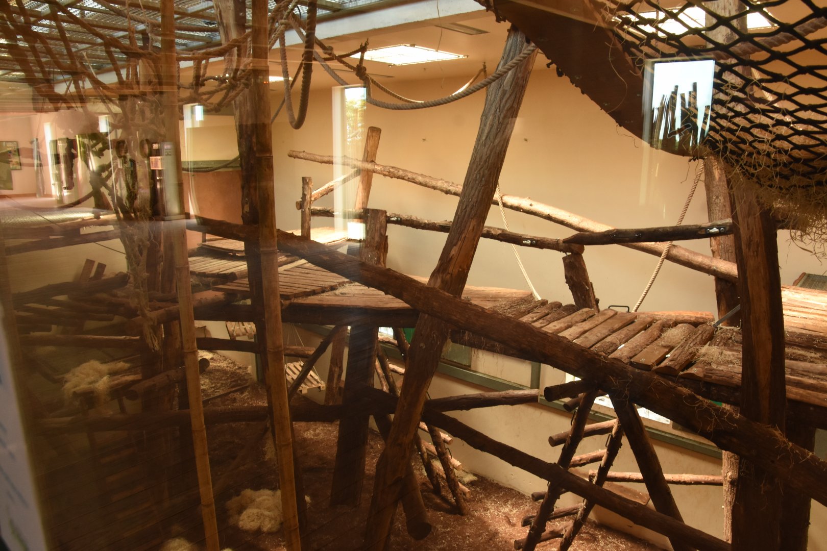 Bonobo indoor enclosure (1 of 2)