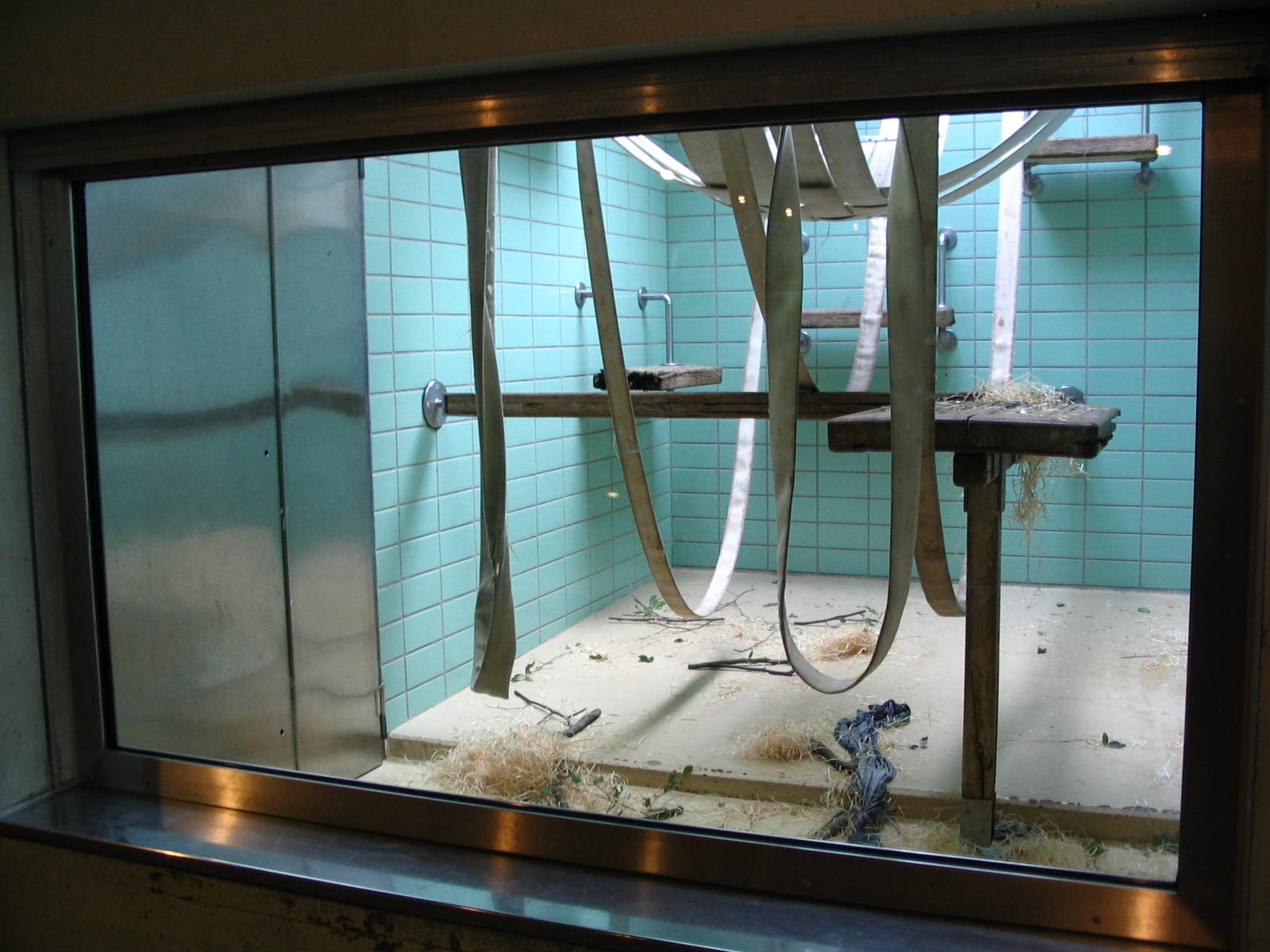 Bonobo indoor enclosure I