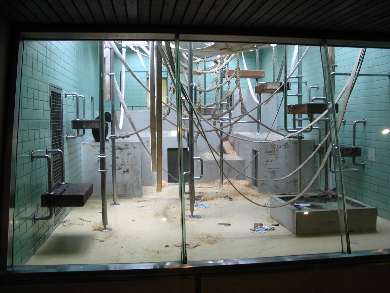 Bonobo indoor enclosure II