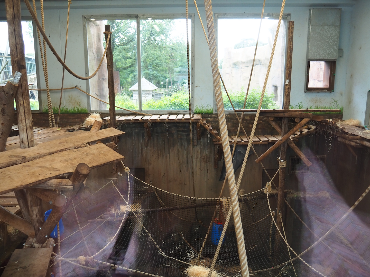 Bonobo indoor housing, 2023-08-17