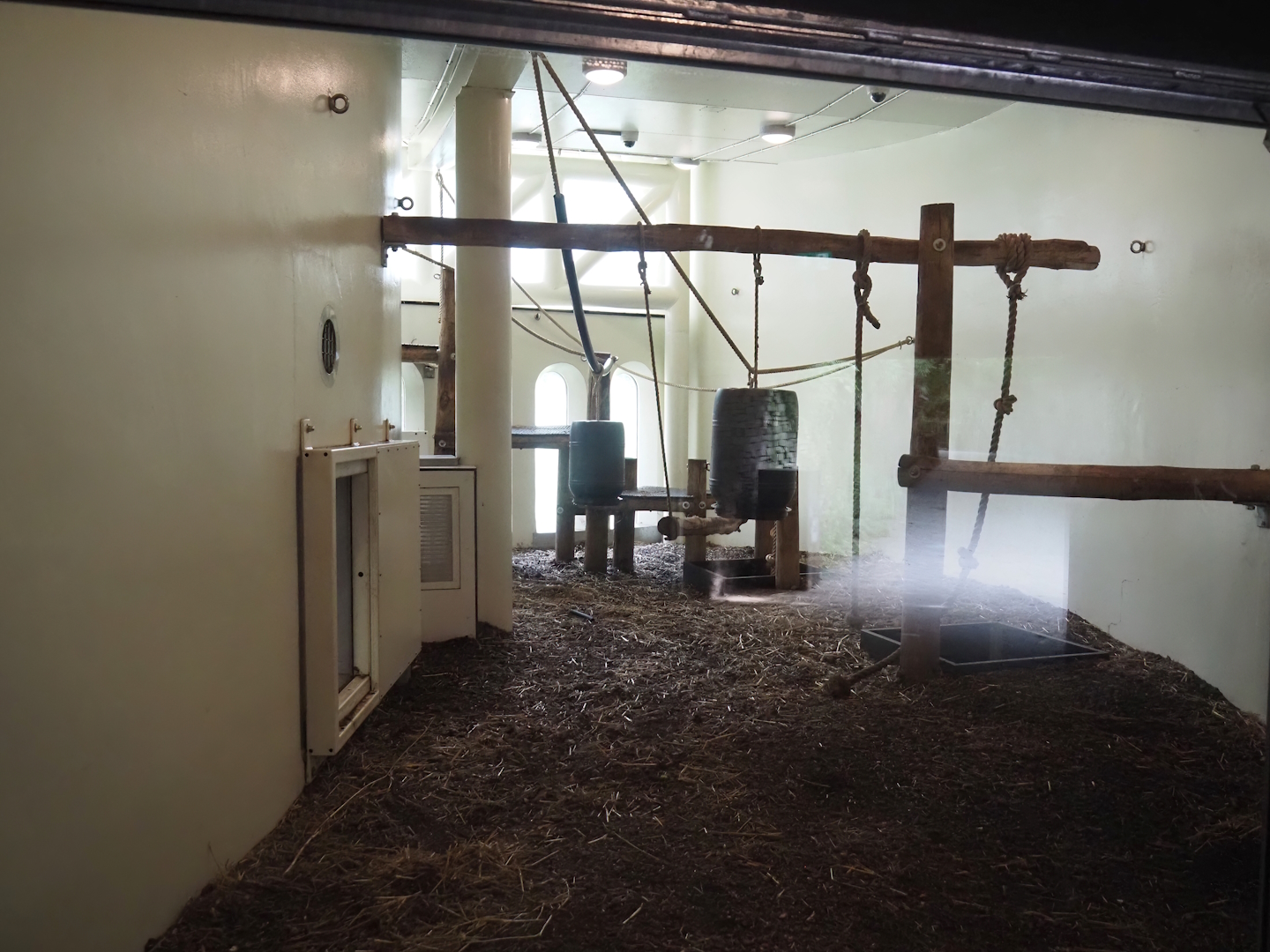 Bonobo indoor housing, 2024-08-18