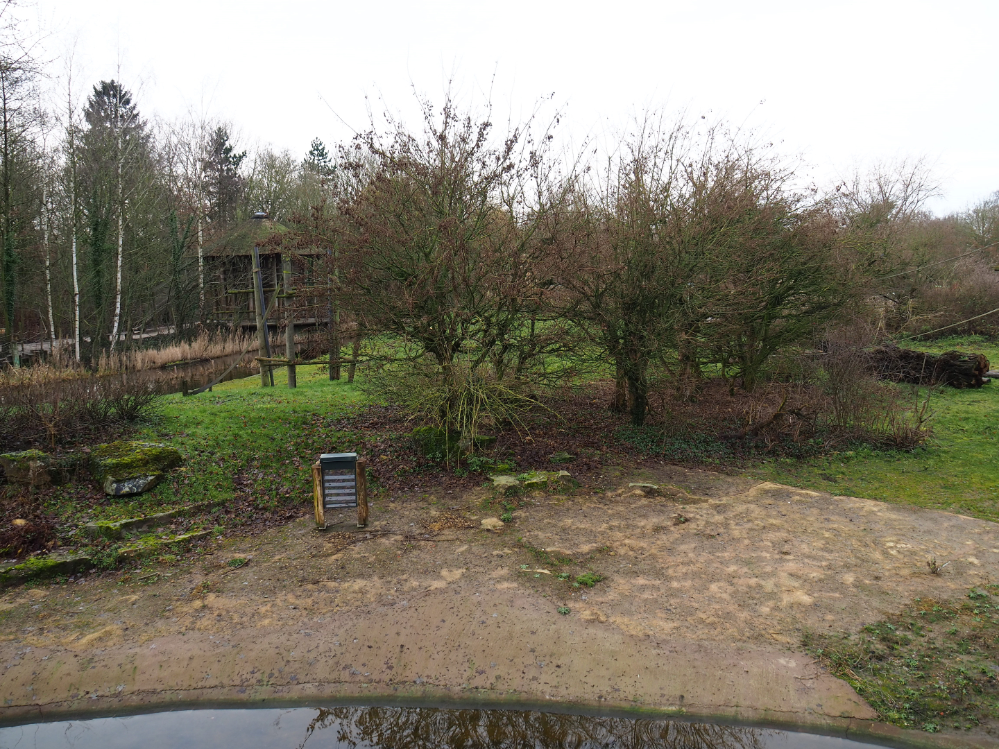 Bonobo island, 2020-01-11