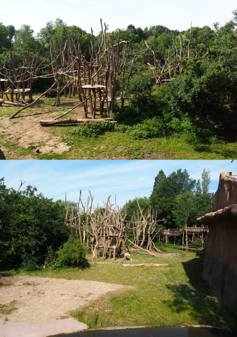 Bonobo island, 2020-06-12