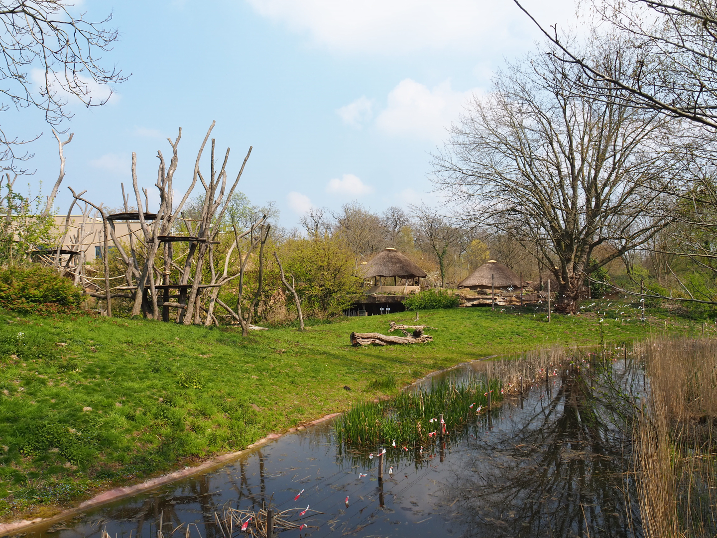 Bonobo island, 2021-04-21