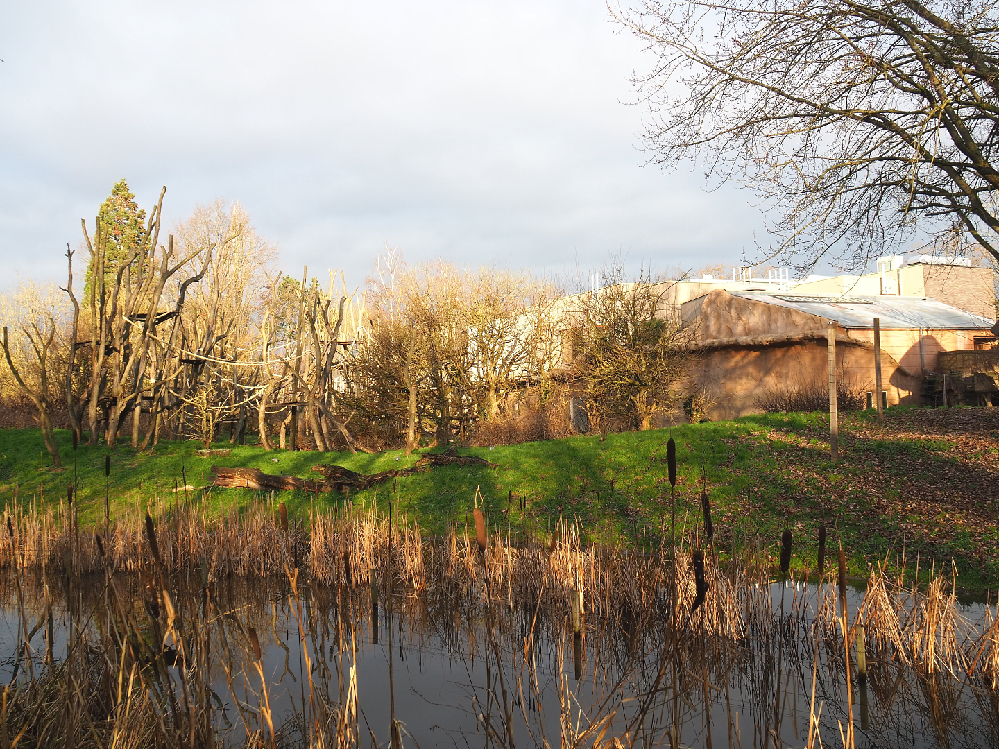 Bonobo island, 2022-01-02