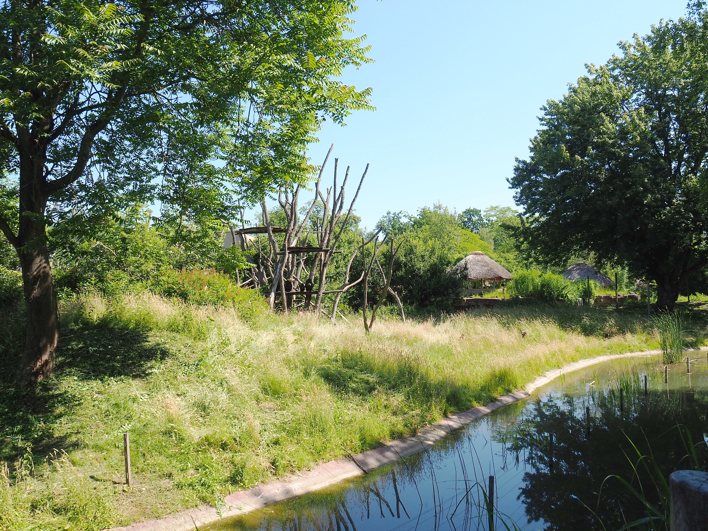 Bonobo island, 2022-06-15